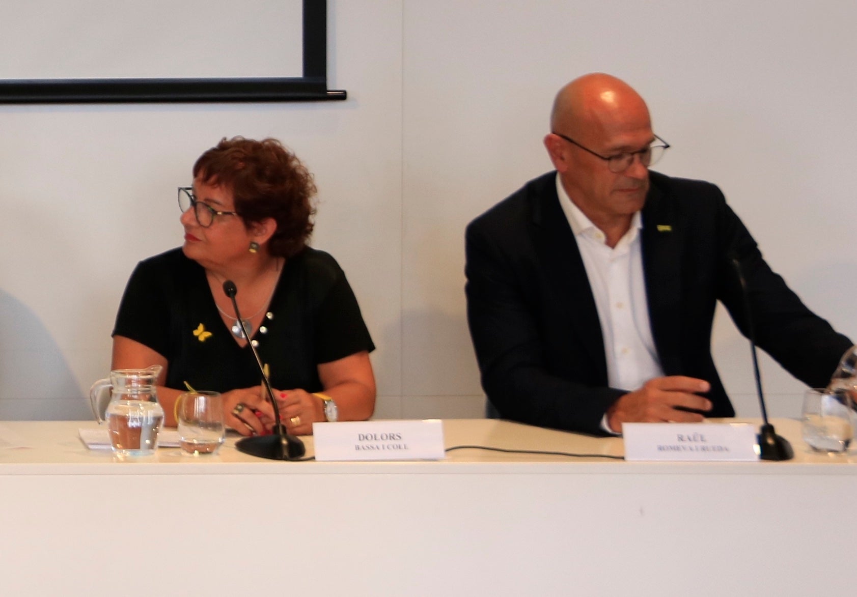 Dolors Bassa y Raül Romeva, en la presentación de sus recursos al TEDH/Laura Fígols