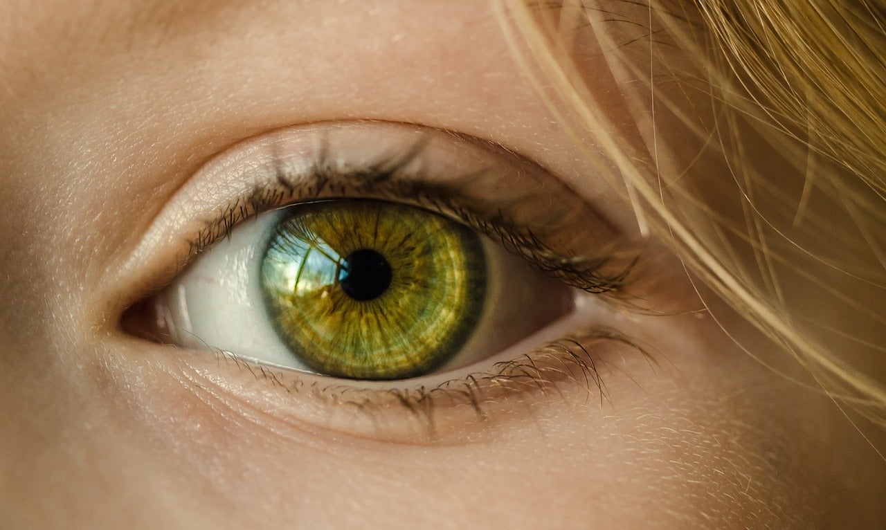 La compra de dades biomètriques com l'iris, en el centre de la polèmica / Pixabay
