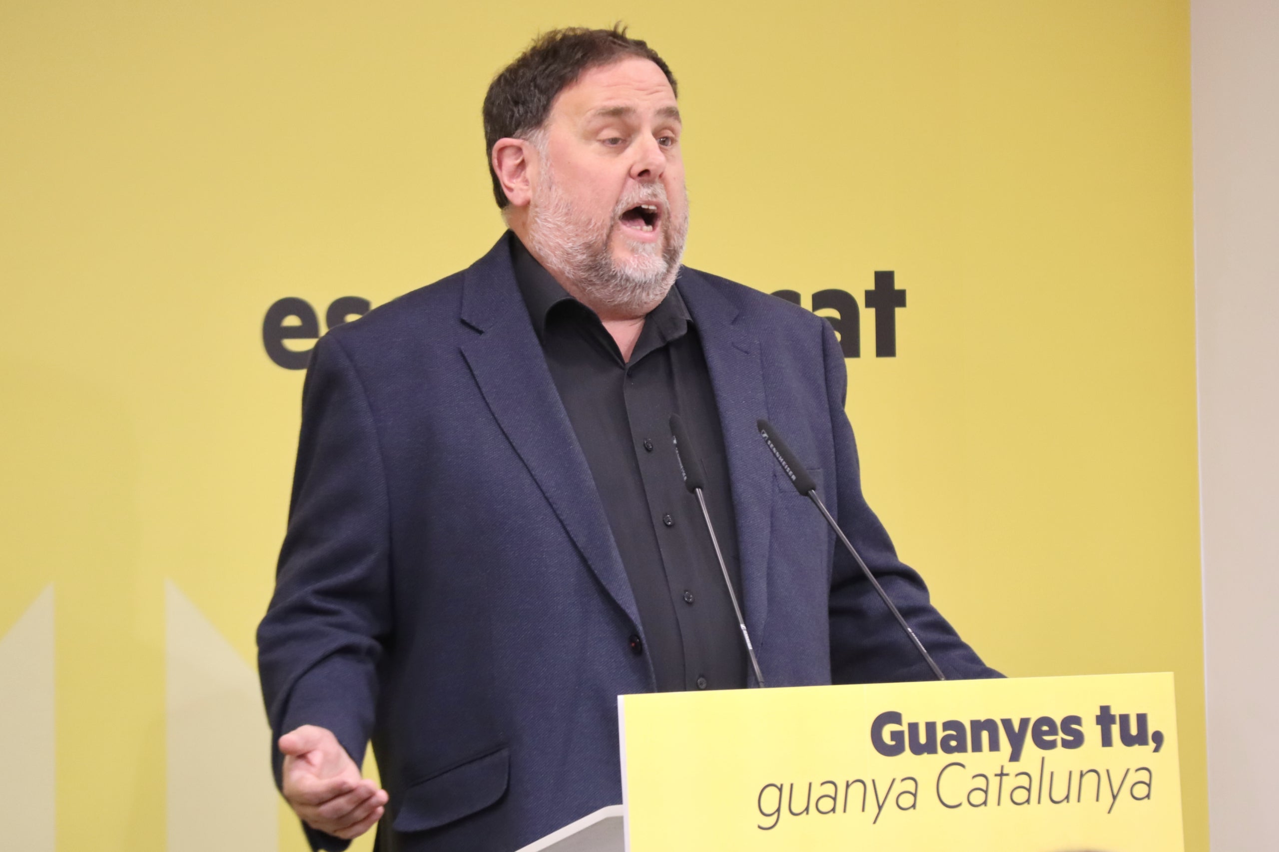 El president d'ERC, Oriol Junqueras, intervé davant del Consell Nacional del partit aquest dissabte / ACN
