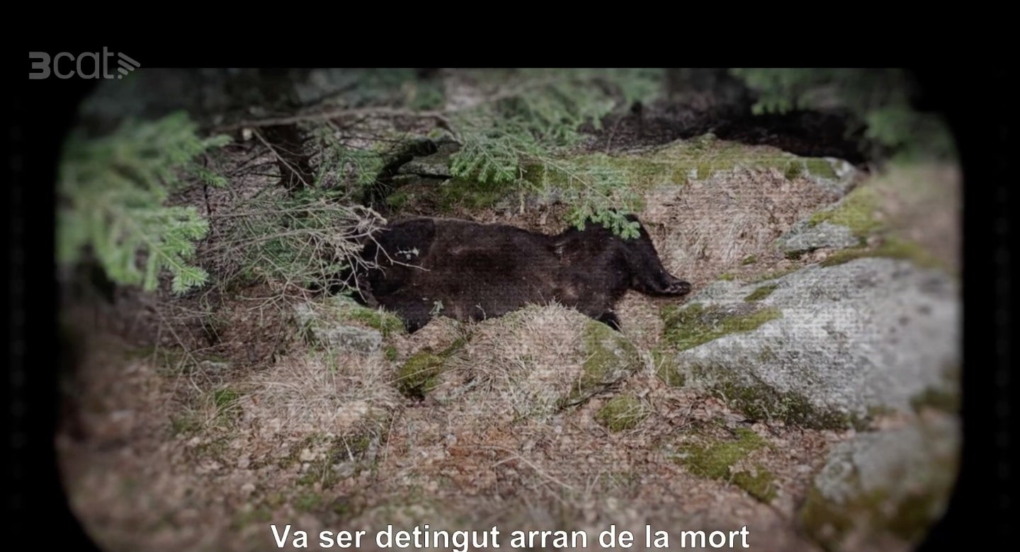 3Cat emet un documental pòstum de Josep Maria Flores - TV3