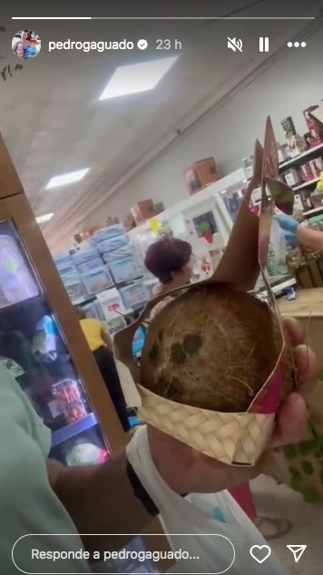 Un coco, el primer regal que s'ha fet el guanyador del concurs - Instagram