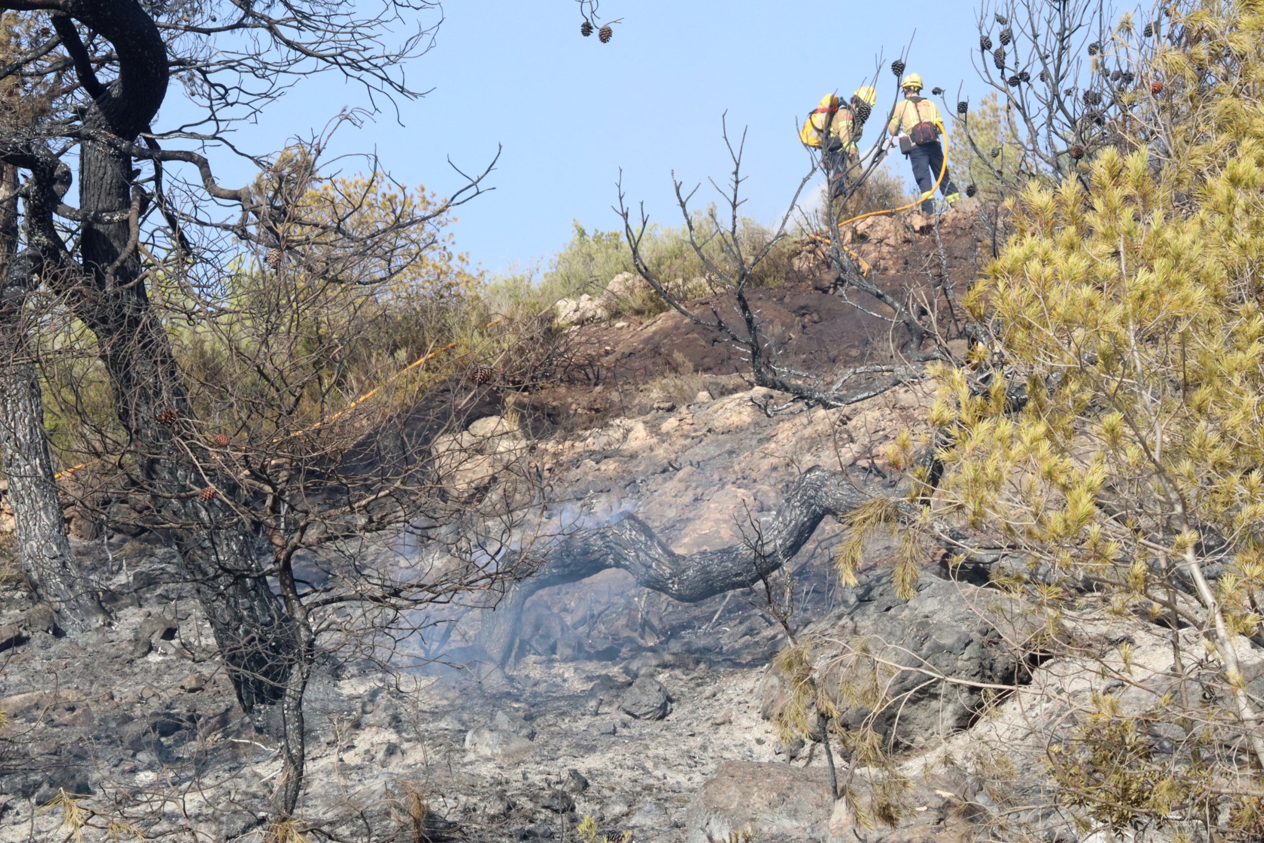 Una branca encara fumeja mentre dos bombers remullen la zona afectada per l'incendi de la Figuera |
Redacció ACN / Eloi Tost