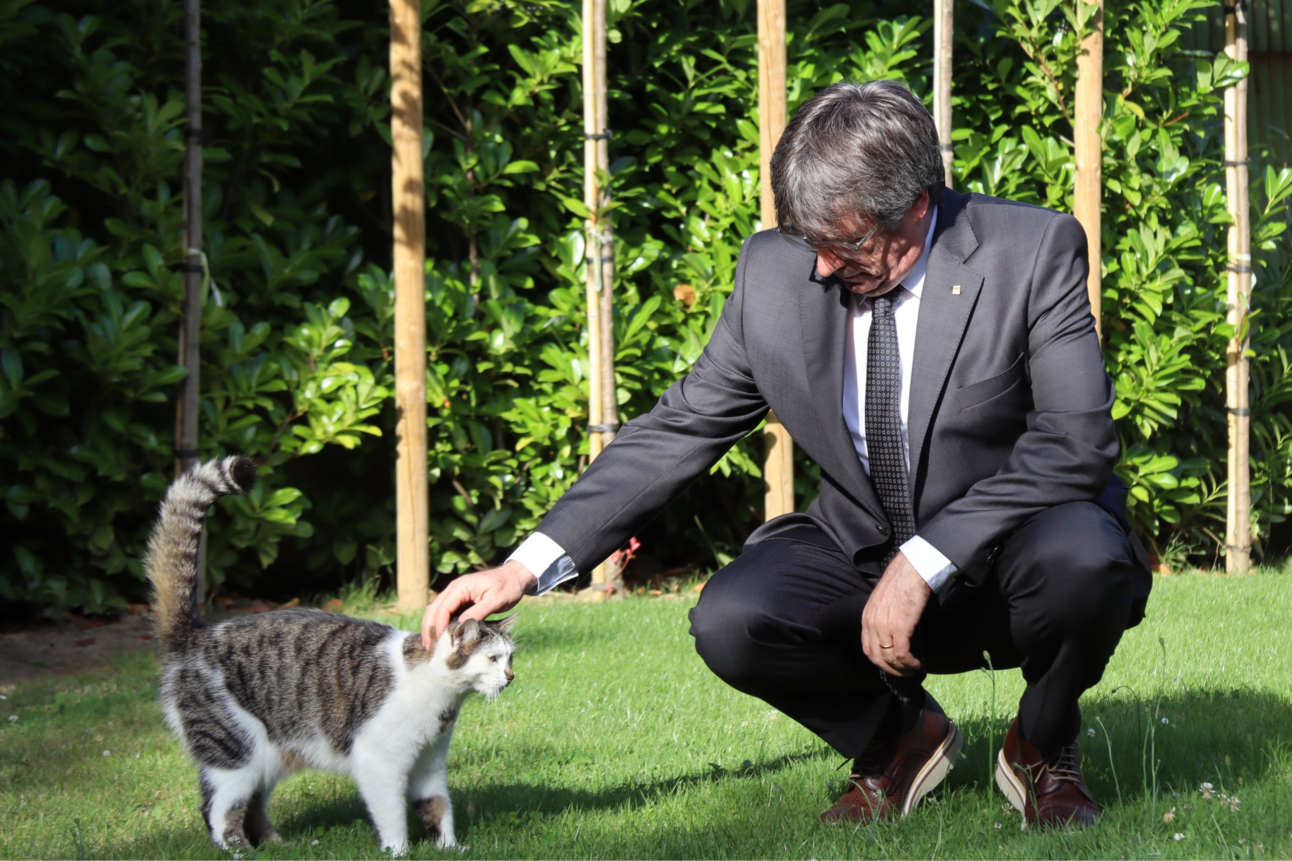 El president Carles Puigdemont durant les declaracions a la Casa de la República / ACN