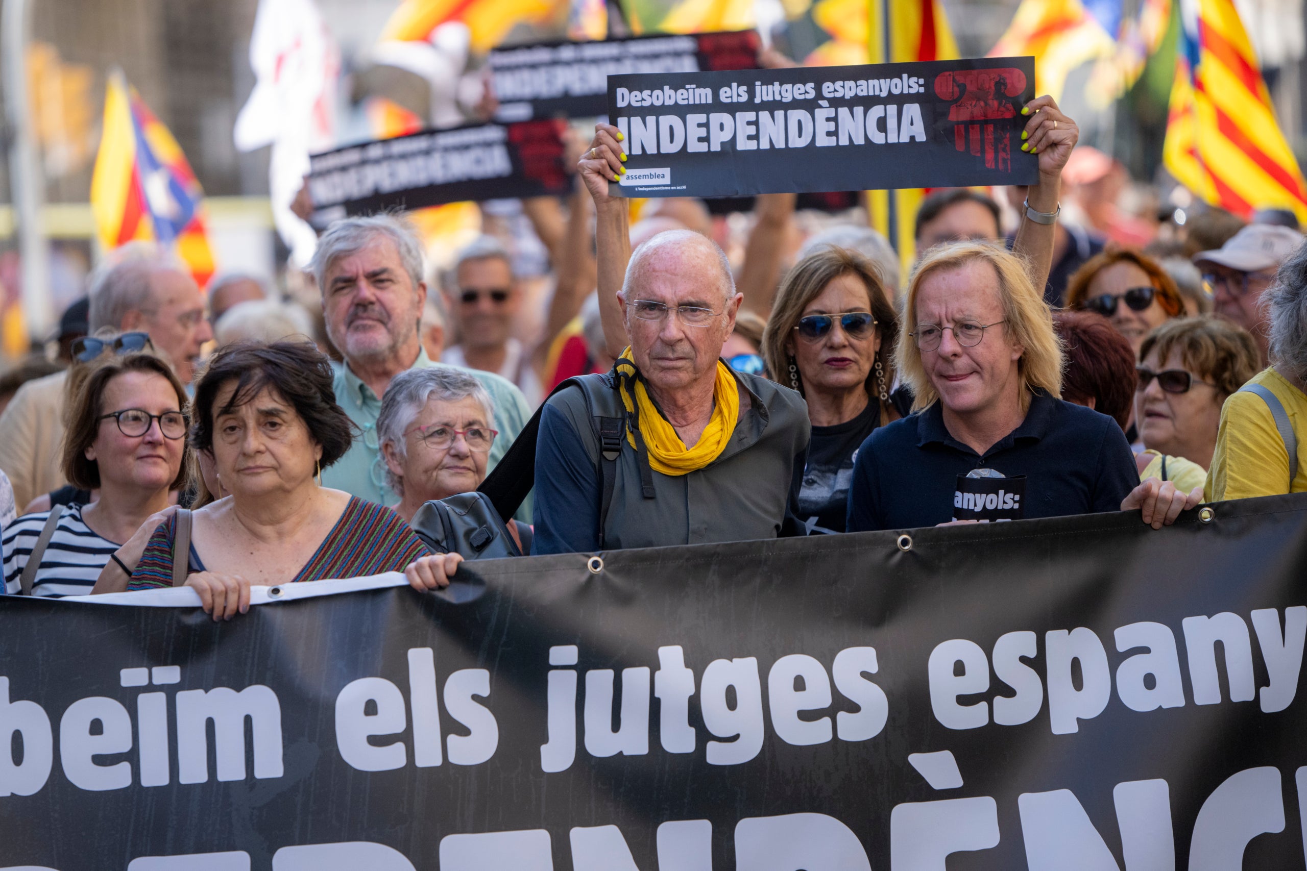 El president de l'ANC, Lluís Llach, en una manifestació / Europa Press