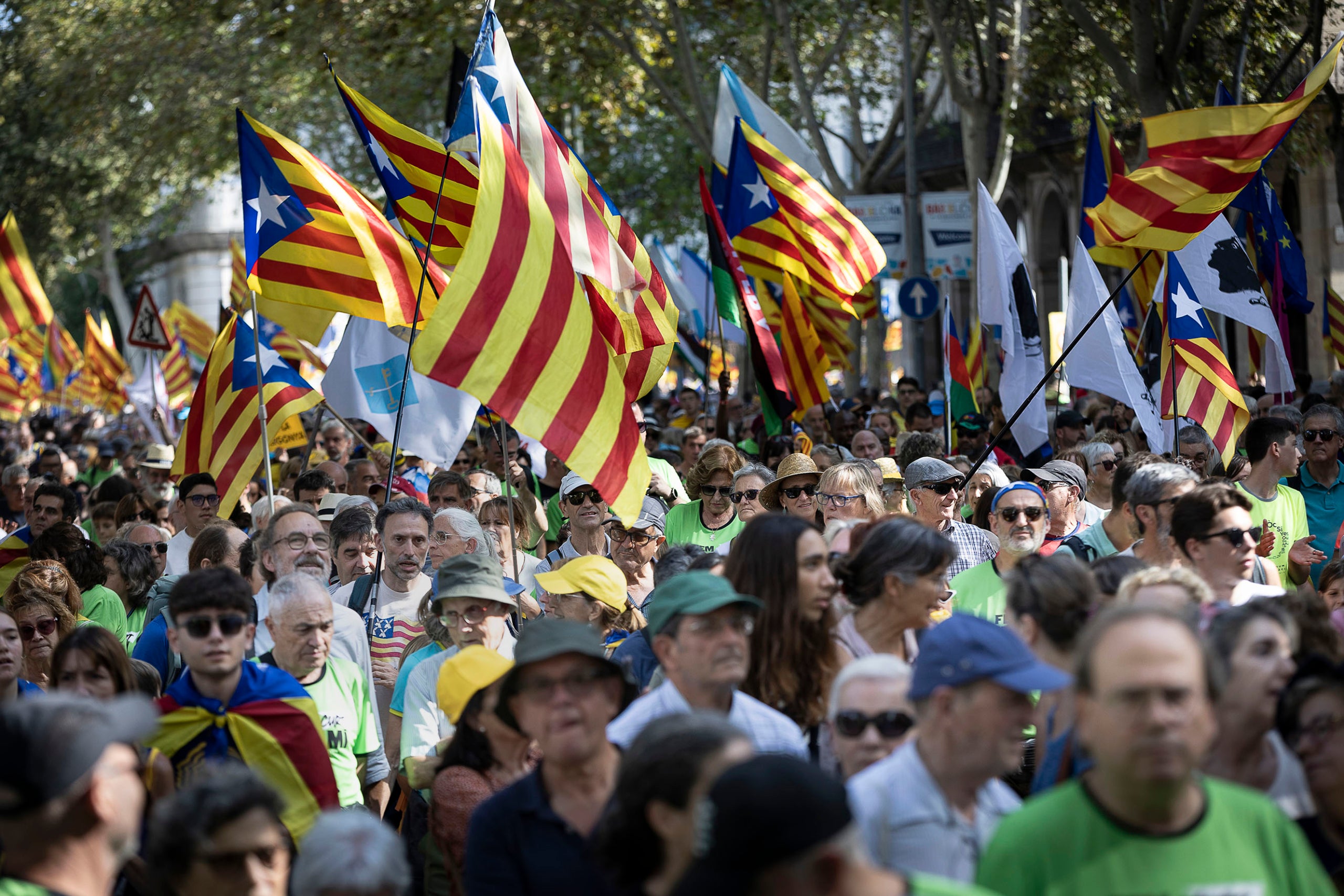 La manifestación de la Diada 2024 en Barcelona / Jordi Play