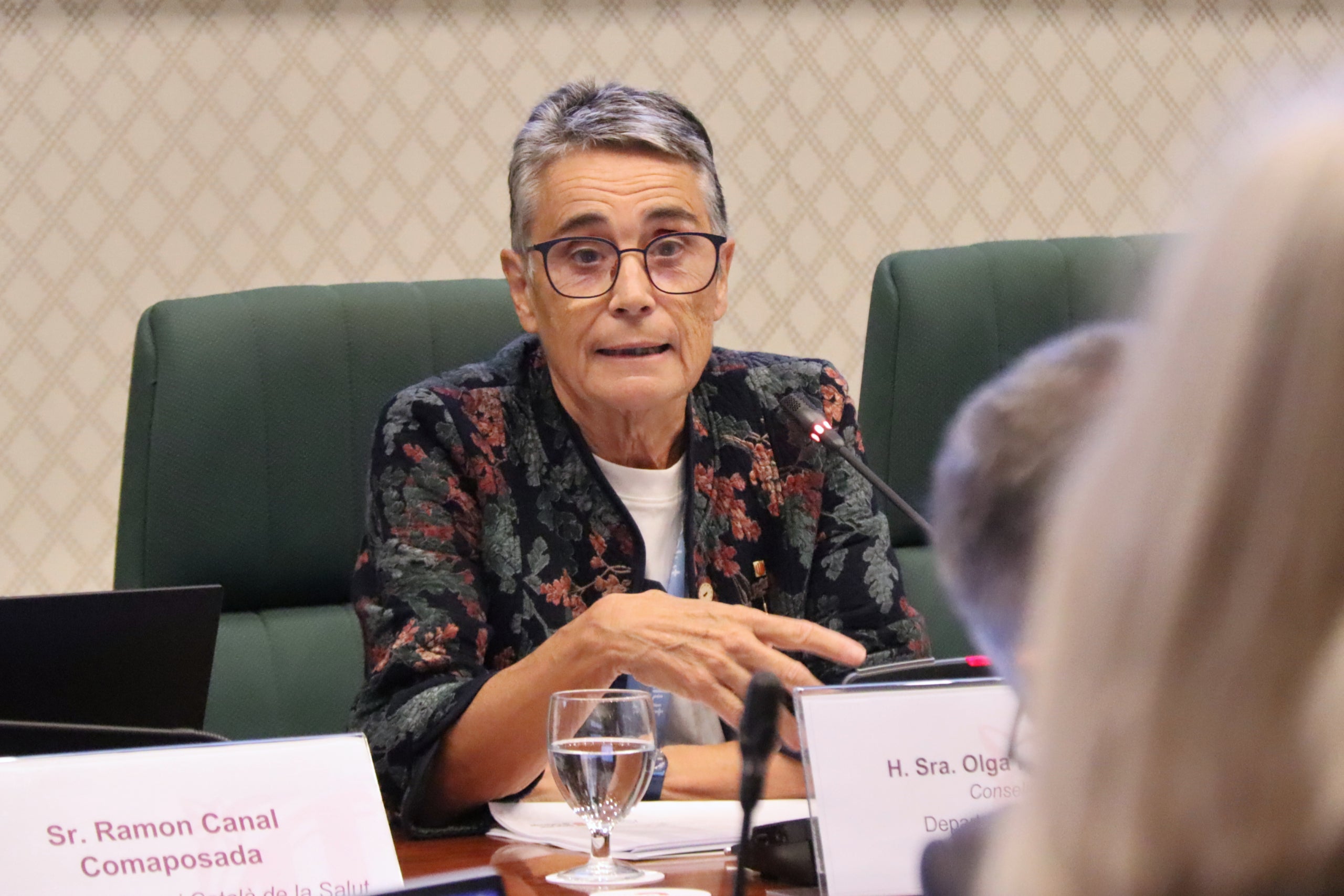 La consejera de Salud, Olga Pané, en comparecencia en comisión en el Parlamento este miércoles / Nico Tomás (ACN)