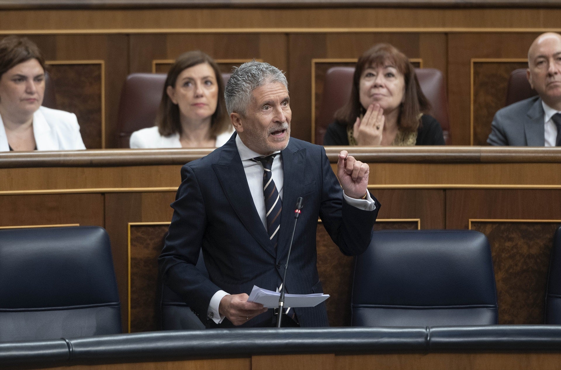 El ministre de l'Interior, Fernando Grande-Marlaska, en una sessió de control al Congrés / Europa Press