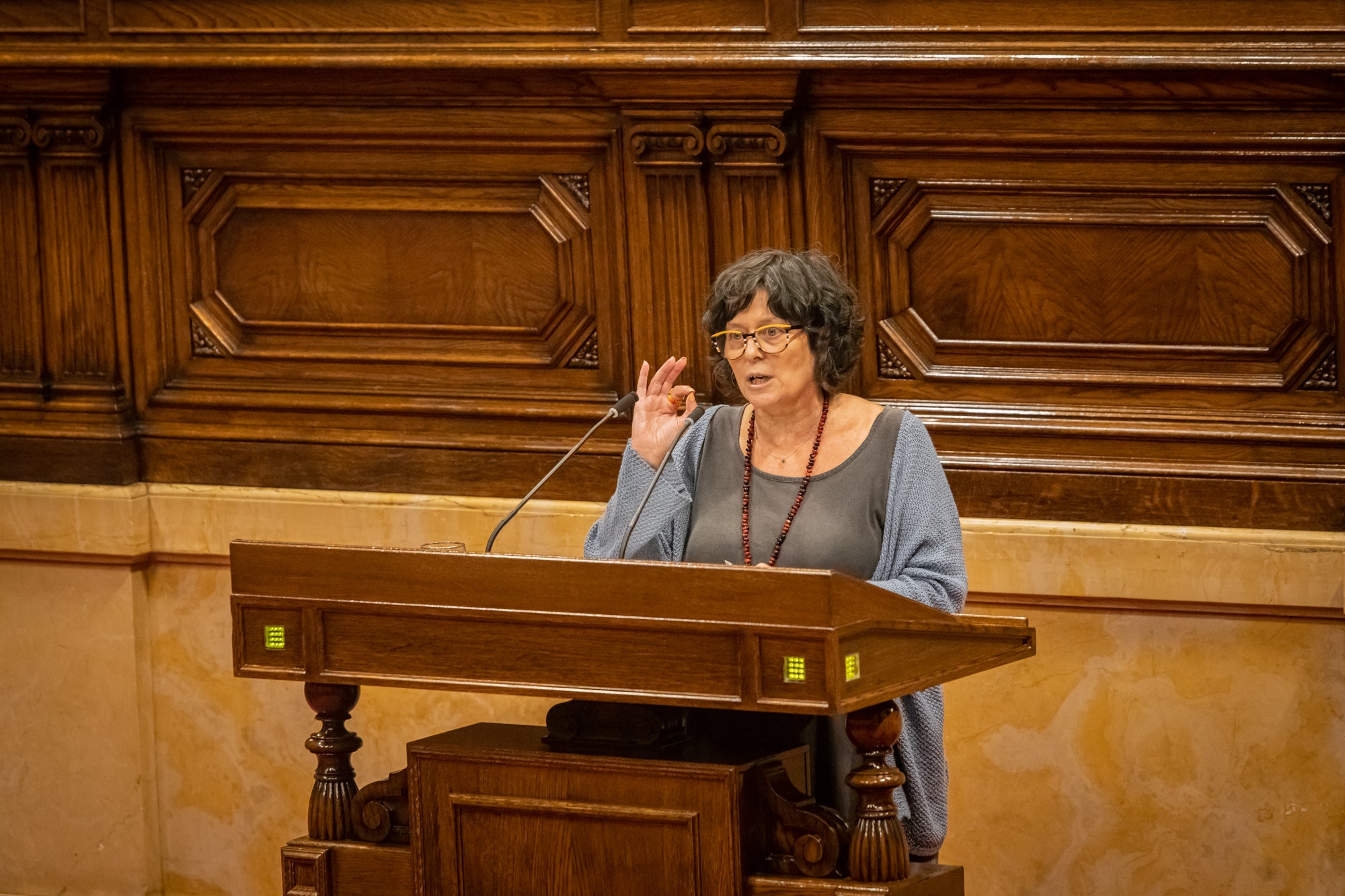 Pilar Castillejo, la portaveu de la CUP a Interior, papus per a la nova consellera Parlon/Parlament