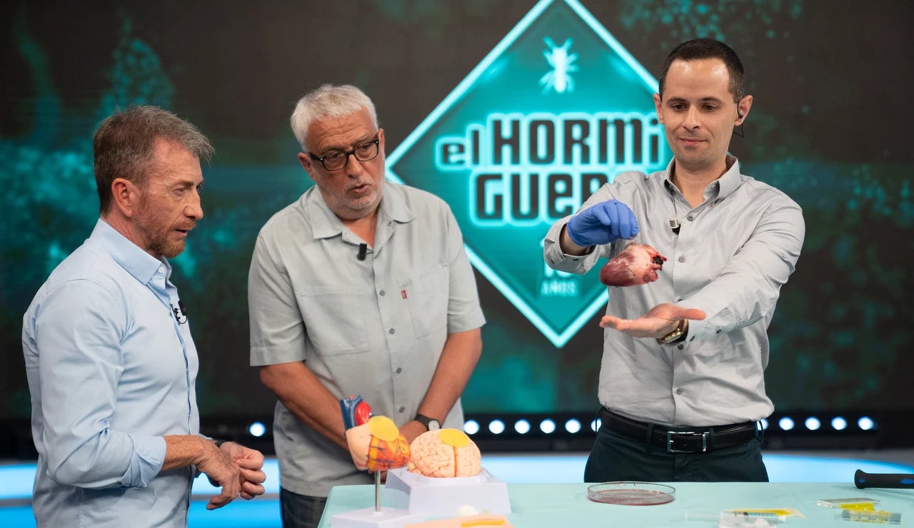Pablo Motos entrevista Leo Harlem el segon dia - Antena 3
