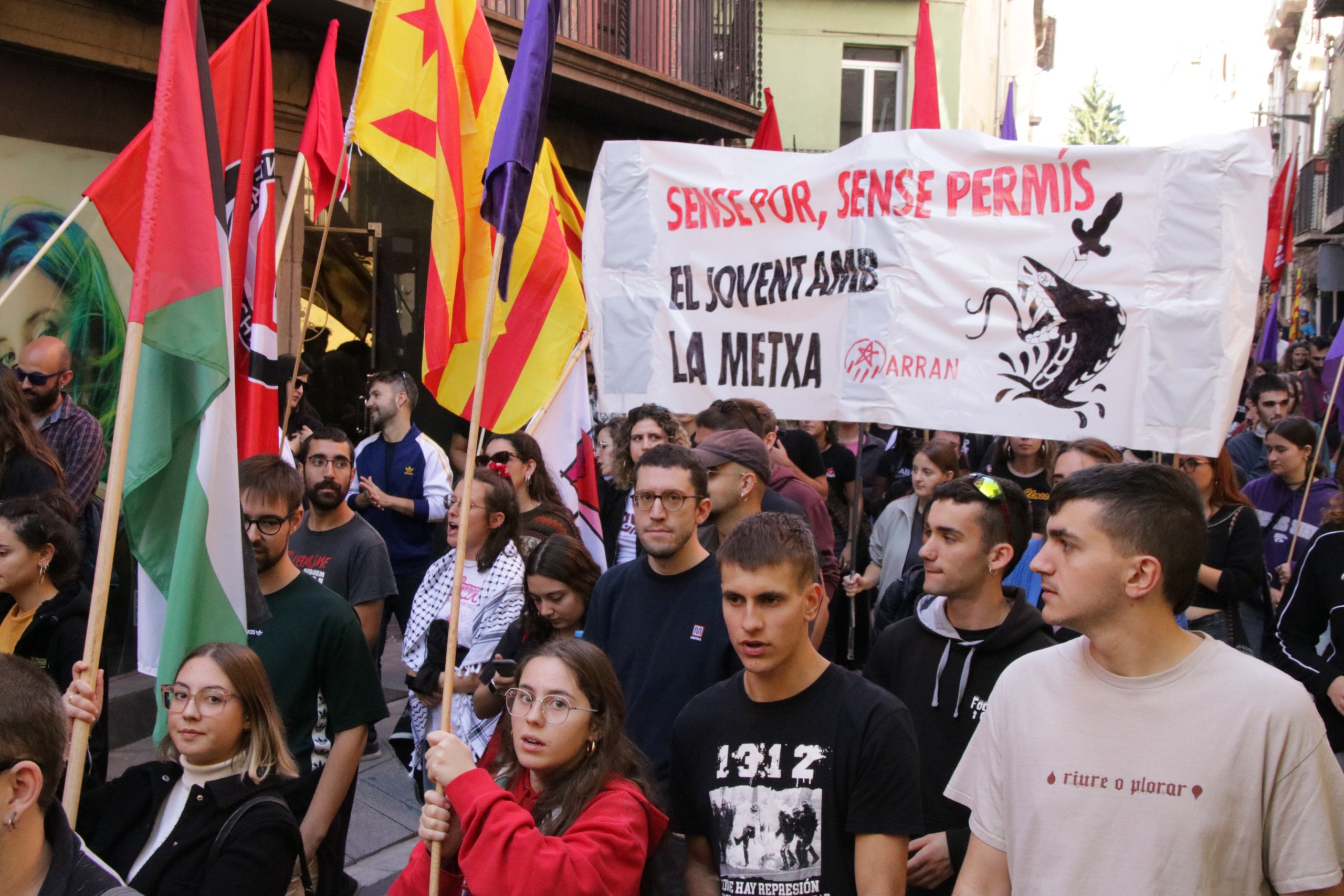 Un miler de persones protesten contra AC a Ripoll / Ariadna Reche (ACN)