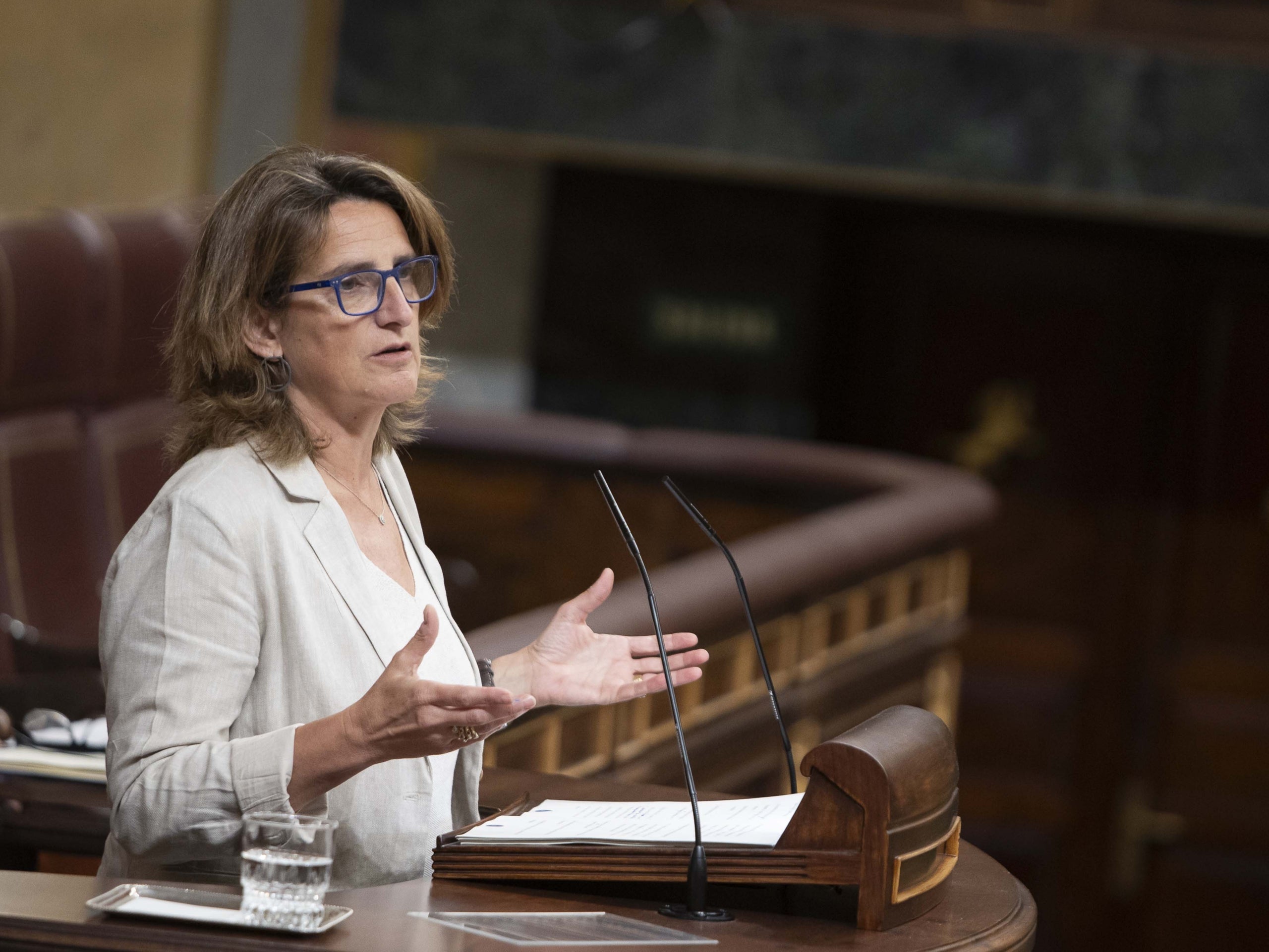 La vicepresidenta tercera del govern espanyol, Teresa Ribera, intervé al Congrés / Congrés dels Diputats
