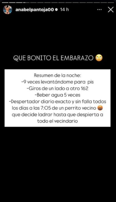 Anabel Pantoja explica quins problemes té en les últimes setmanes d'embaràs - Instagram