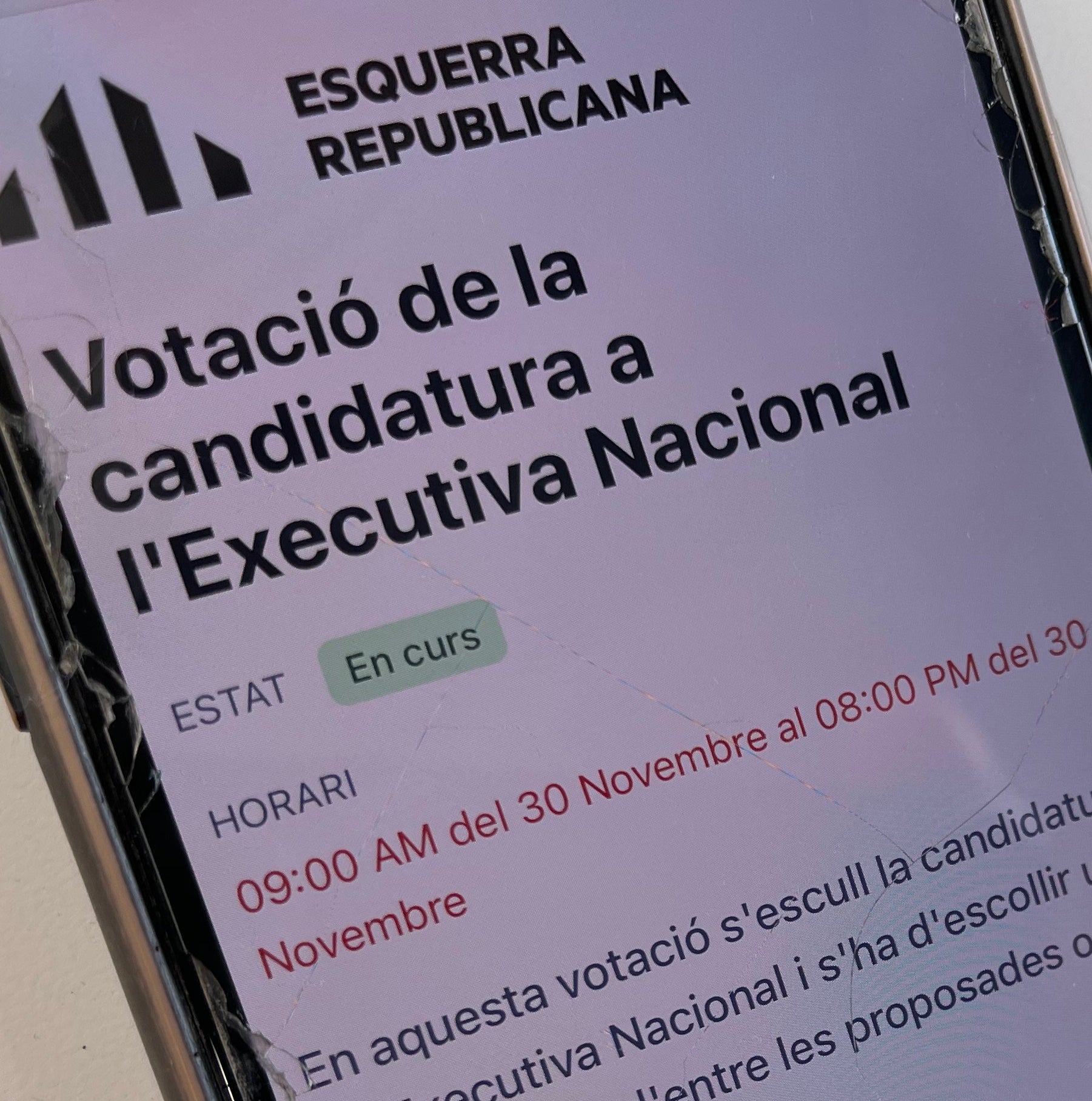 Imatge de la votació d'ERC