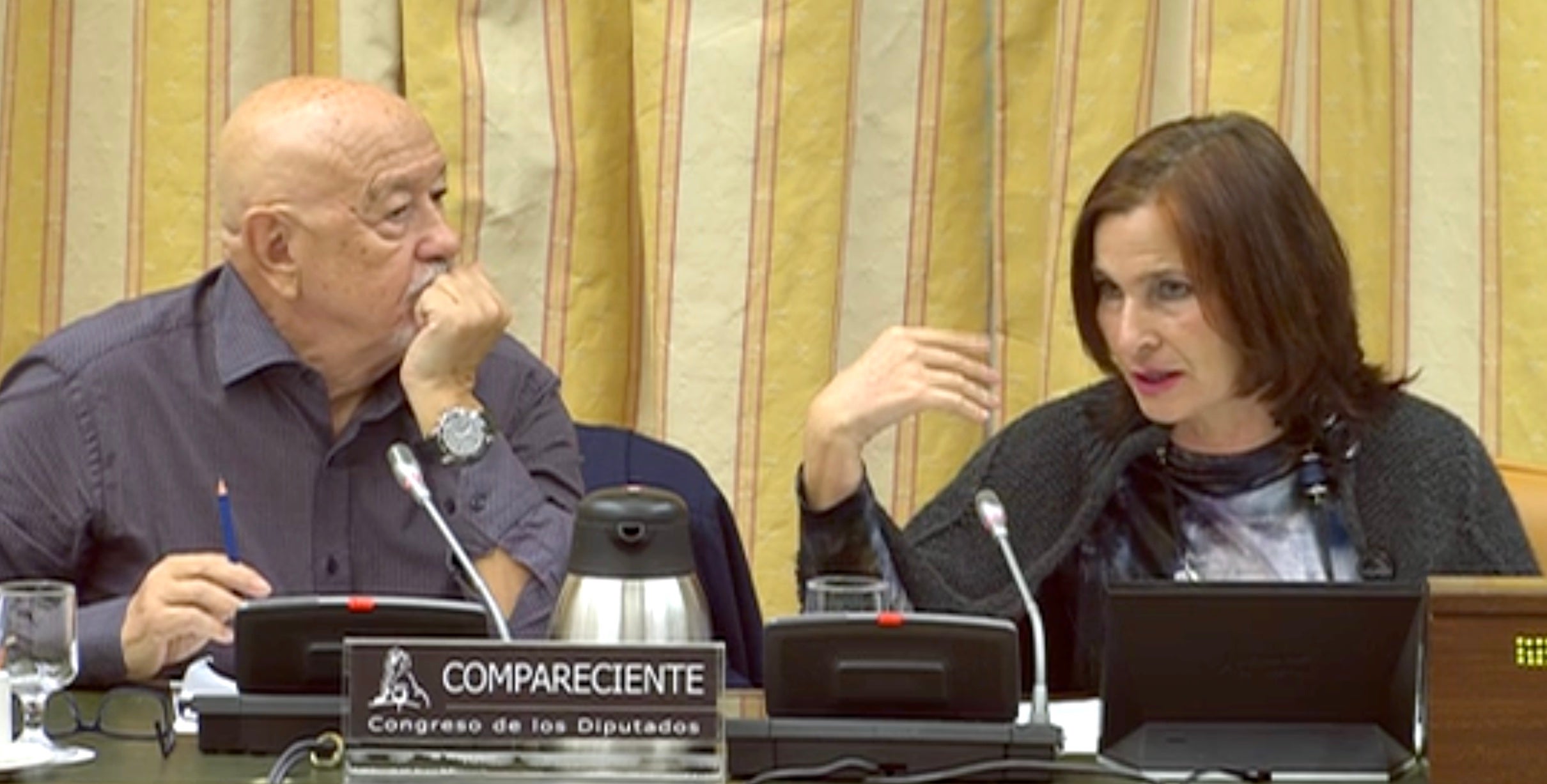 La presidenta de la comissió  Luz Martínez Feijo i Marcelino Martín Blas, en un moment de la seva discussió amb el PP/QS