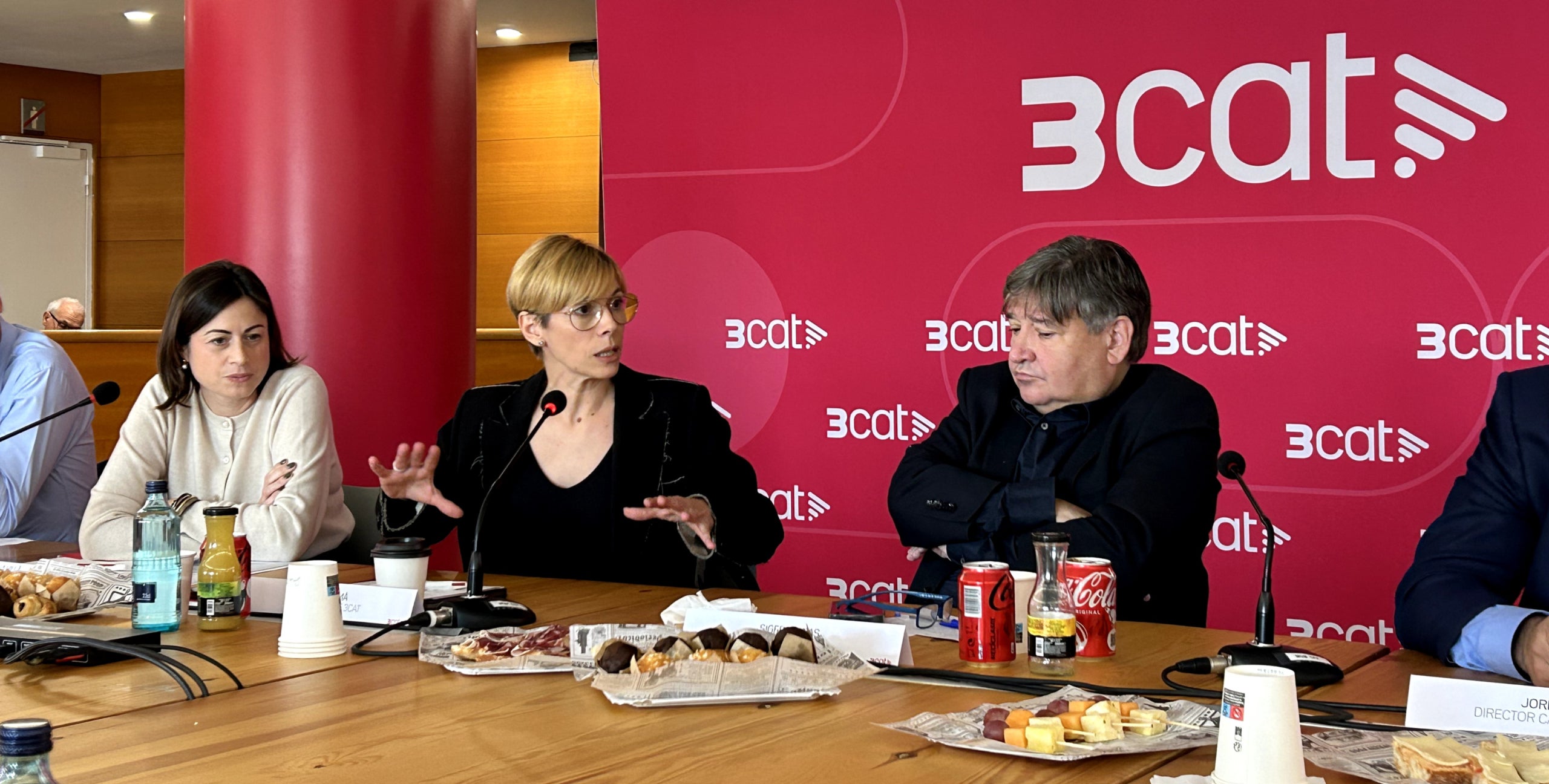 Rosa Romà explica les novetats de la plataforma - J. N