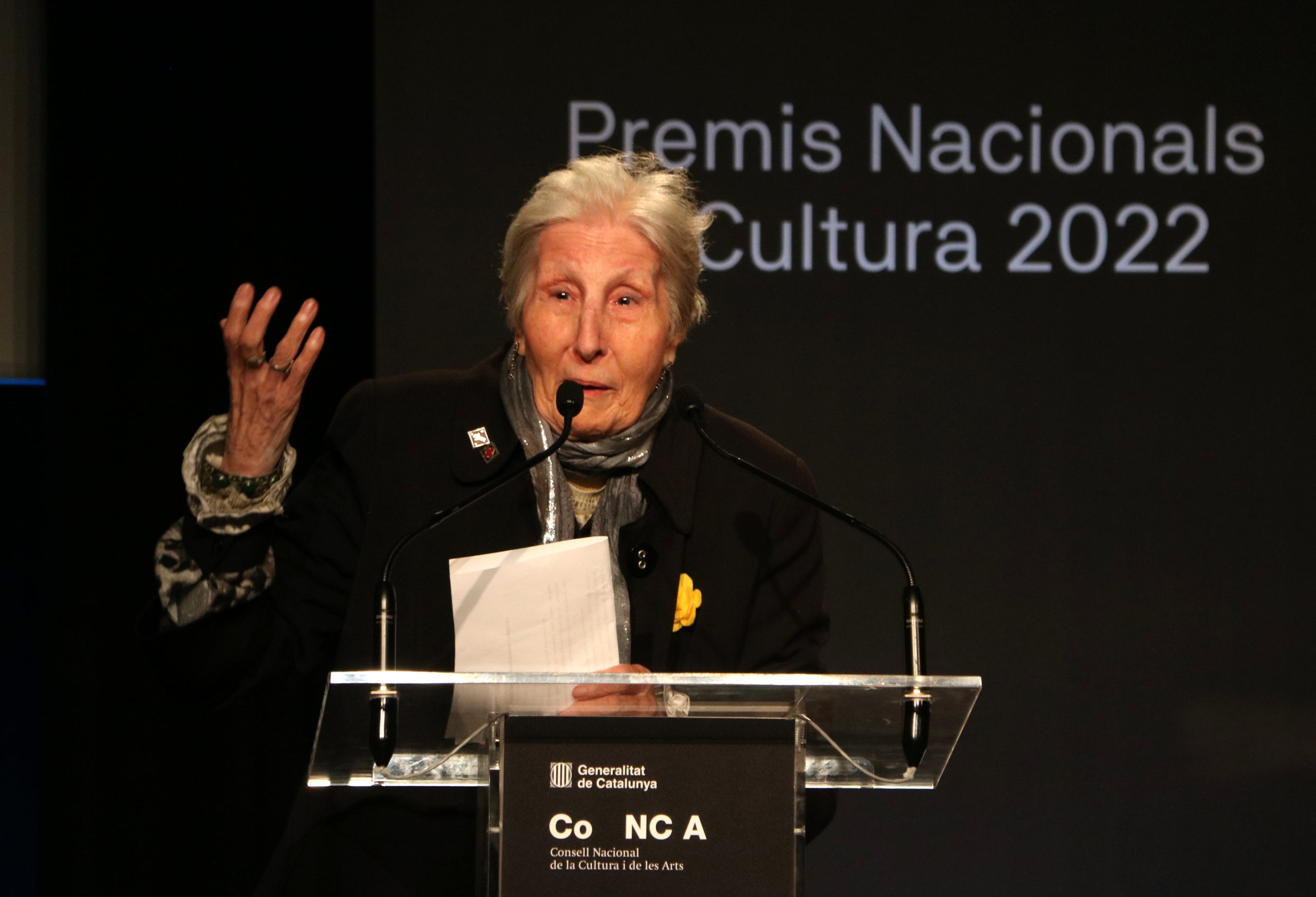 La poeta y novelista Rosa Fabregat el día que recibió el Premio Nacional de Cultura / ACN