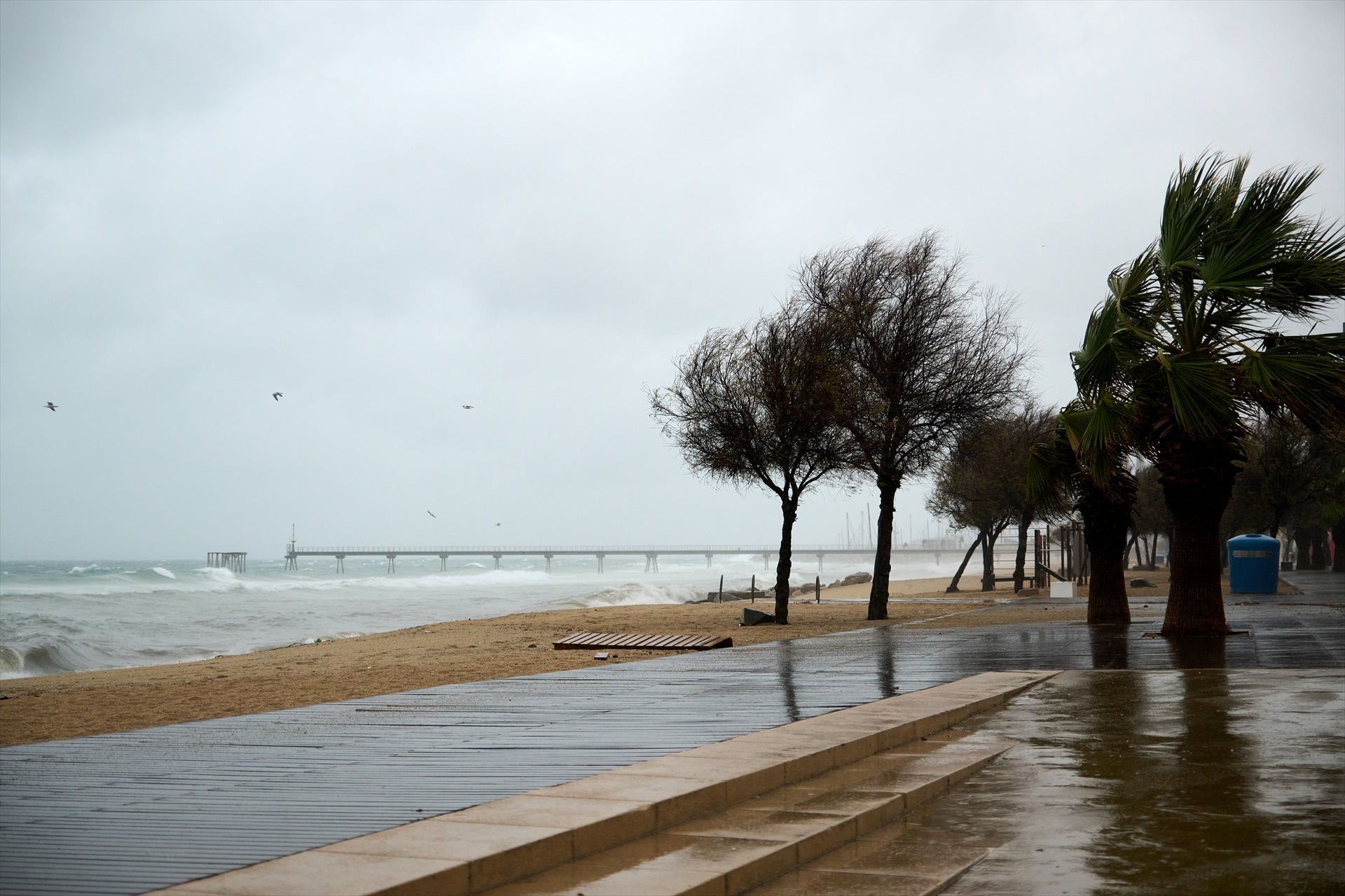 El passeig marítim de Badalona durant un temporal amb pluja, vent i mala mar / Europa Press