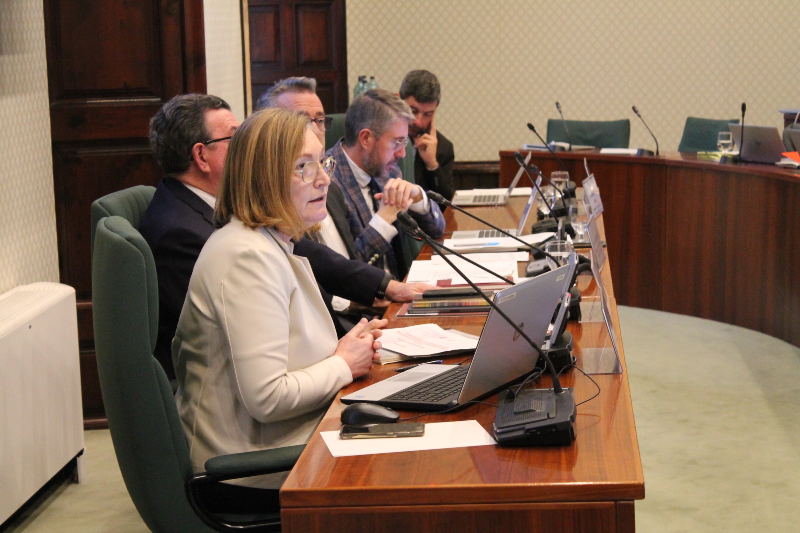 Maria Àngels Cabasés, en una intervención en el Parlamento/Parlamento