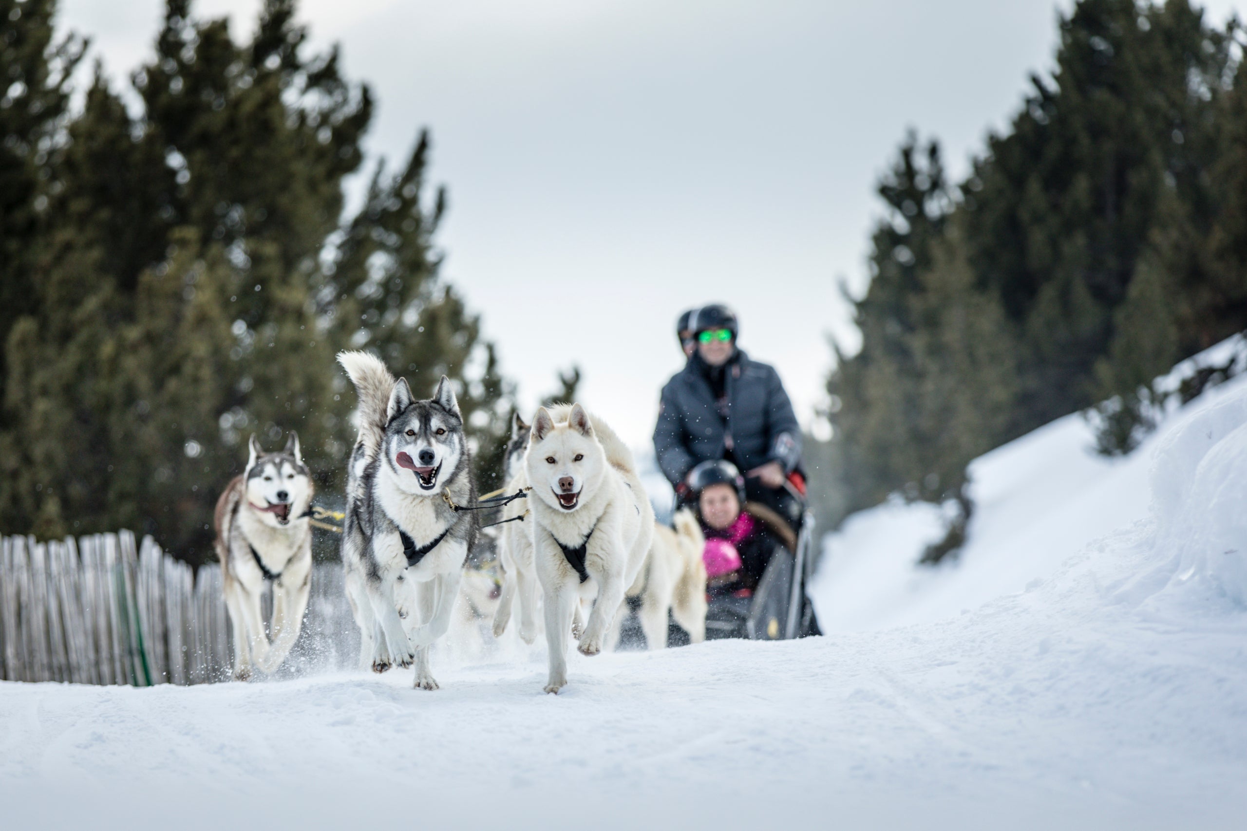 Cau de Llops. Estació d’esquí Port del Comte - La Vall de Lord / Foto: Ricard Badia / Patronat de Turisme de la Diputació de Lleida