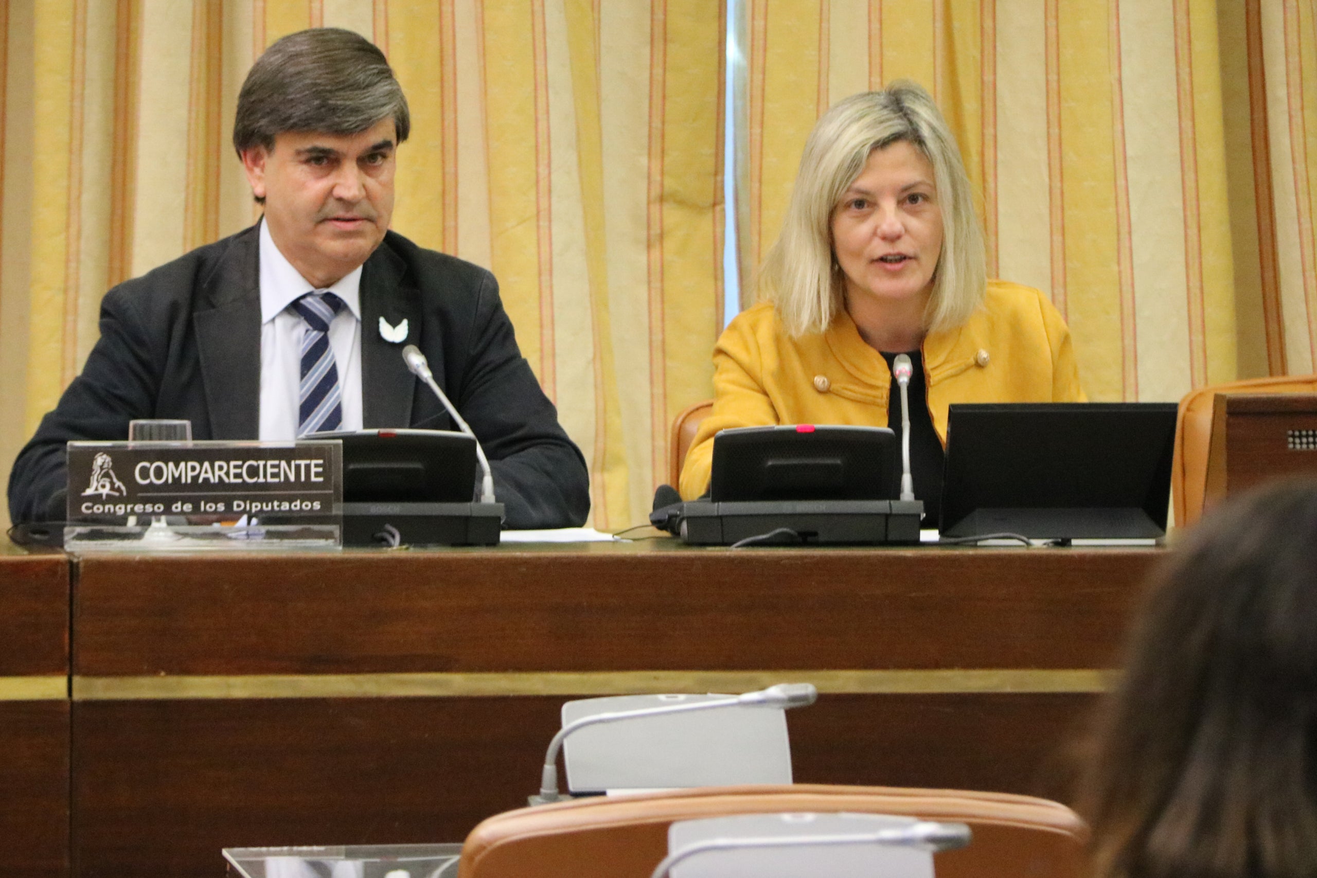 Agustí Carles, durant la seva compareixença a la comissió, amb la vicepresidenta de la comissió, Bego Nasarre/Miquel Vera/ACN