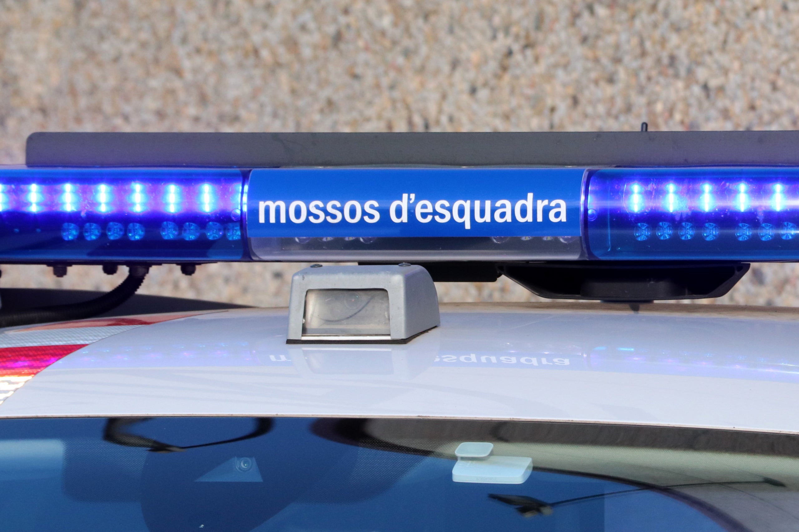 Imatge d'arxiu d'un detall dels cotxes dels Mossos d'Esquadra / ACN