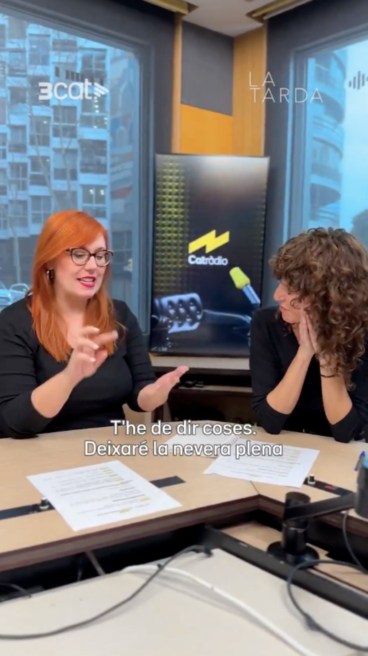 Agnès Marquès substituirà Elisenda Carod en el programa 'La Tarda' de Catalunya Ràdio | X
