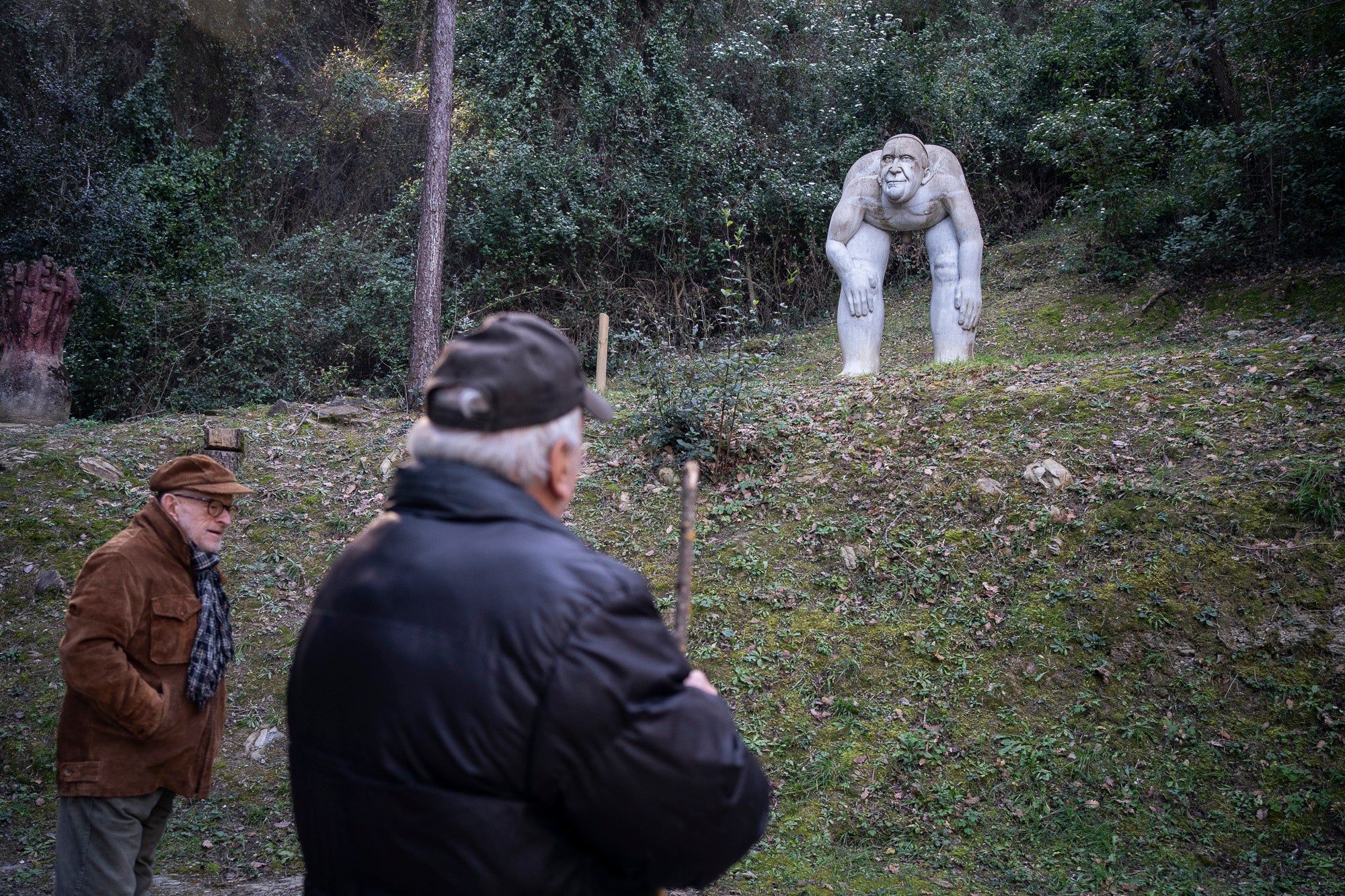 Bosc de Can Ginebreda. Porqueres 6-02-2025 / Mireia Comas