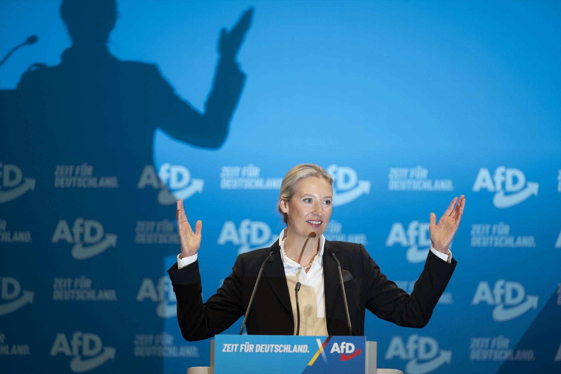 La líder de la ultradretana Alternativa per Alemanya, Alice Weidel / EP
