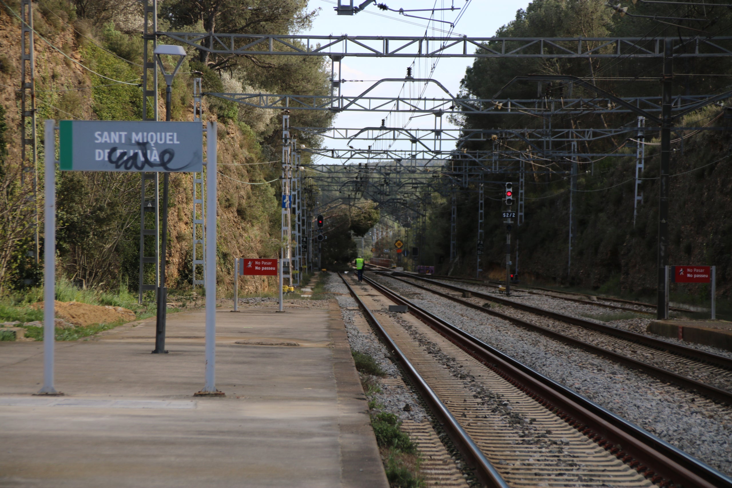 La circulación de trenes interrumpida por un árbol caído sobre la vía / Ariadna Reche (ACN)