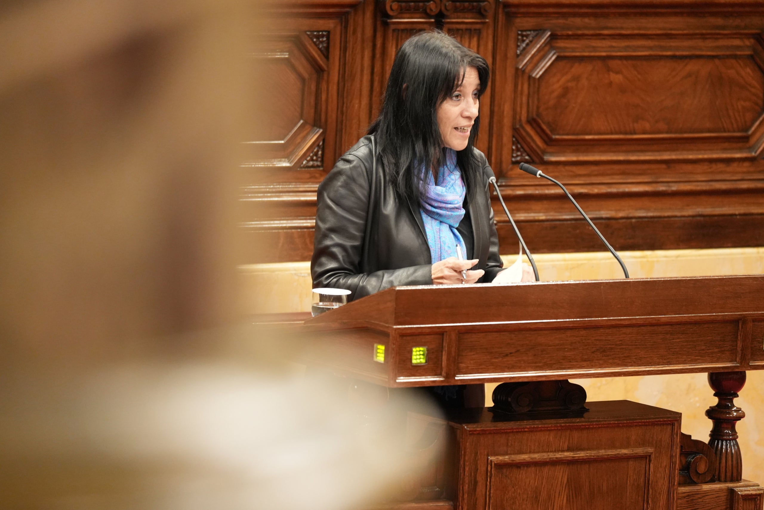 La diputada de Aliança Catalana Rosa Maria Soberana, en el pleno del Parlamento / Bernat Vilaró (ACN)