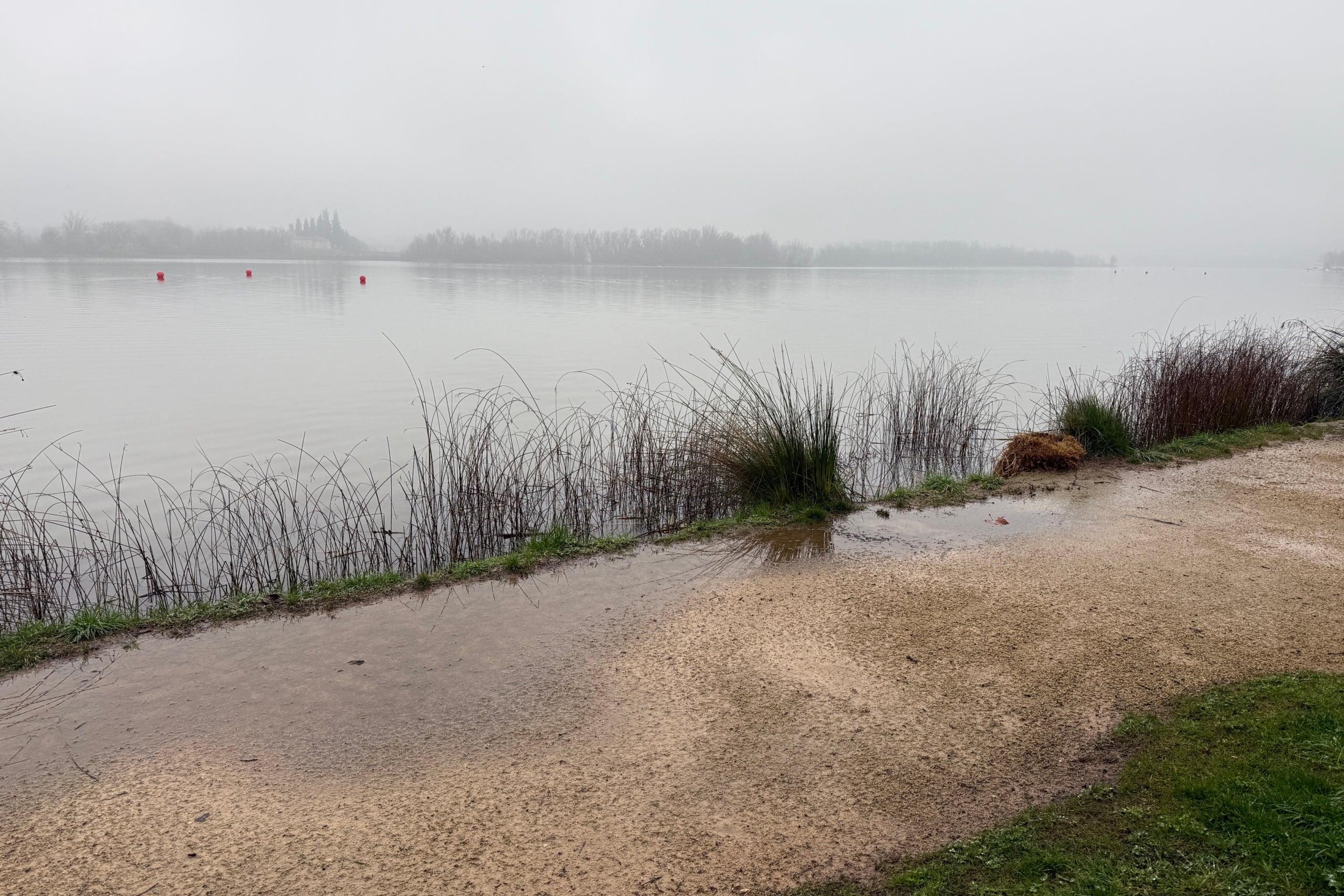 El lago de Banyoles con algunos charcos alrededor | Aleix Freixas (ACN)