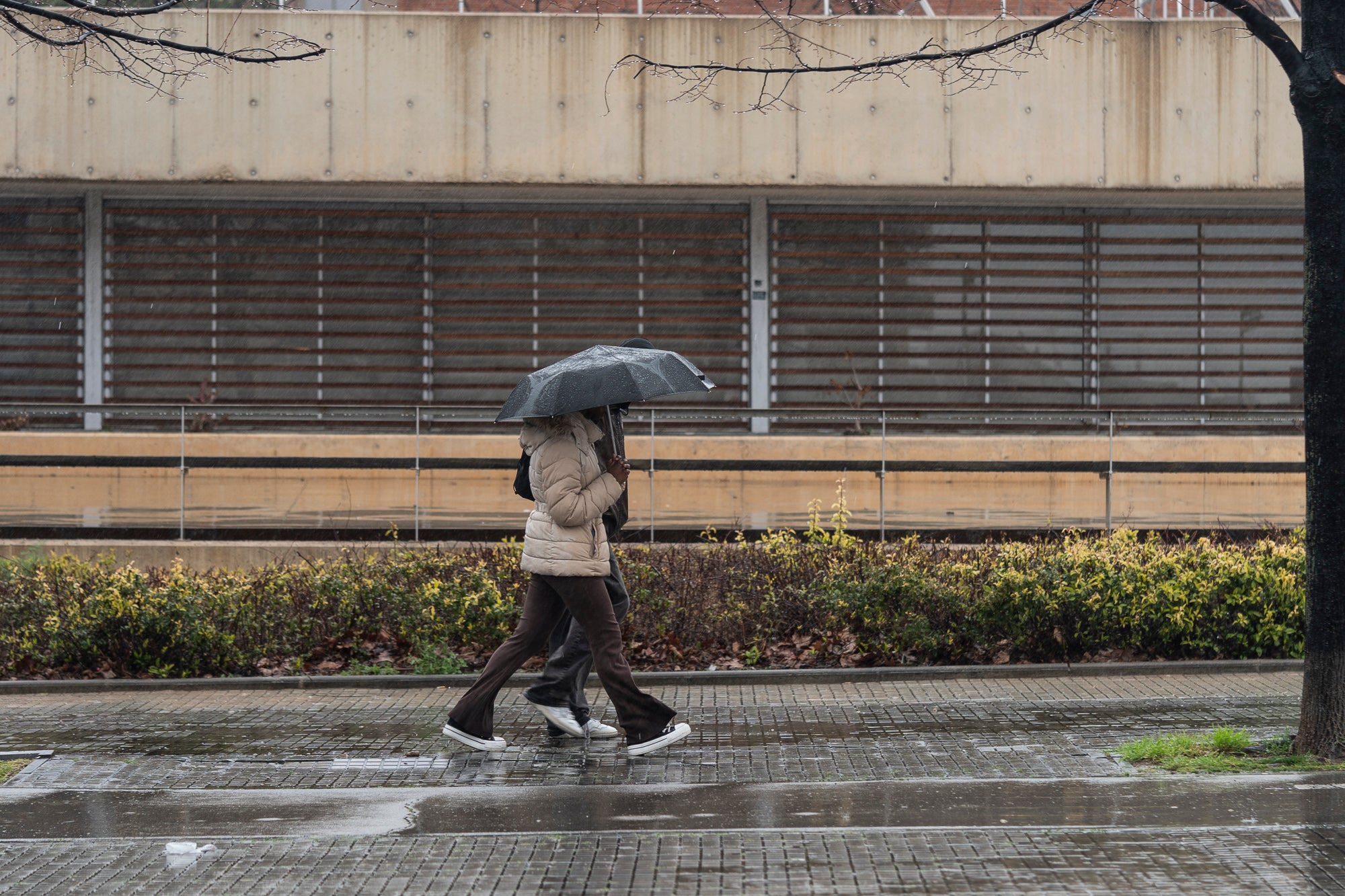 Una persona pasea por la calle con un paraguas bajo la lluvia en Barcelona / Mireia Comas