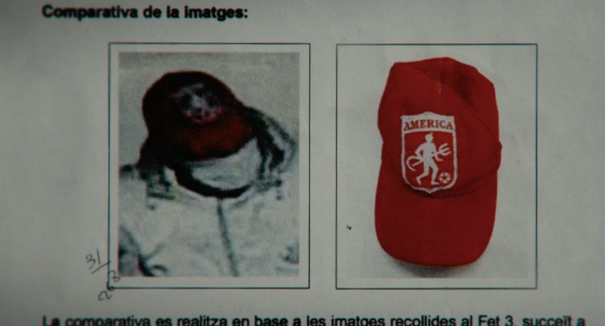 Els Mossos continuen investigant les proves per detenir l'agressor a Crims | 3Cat