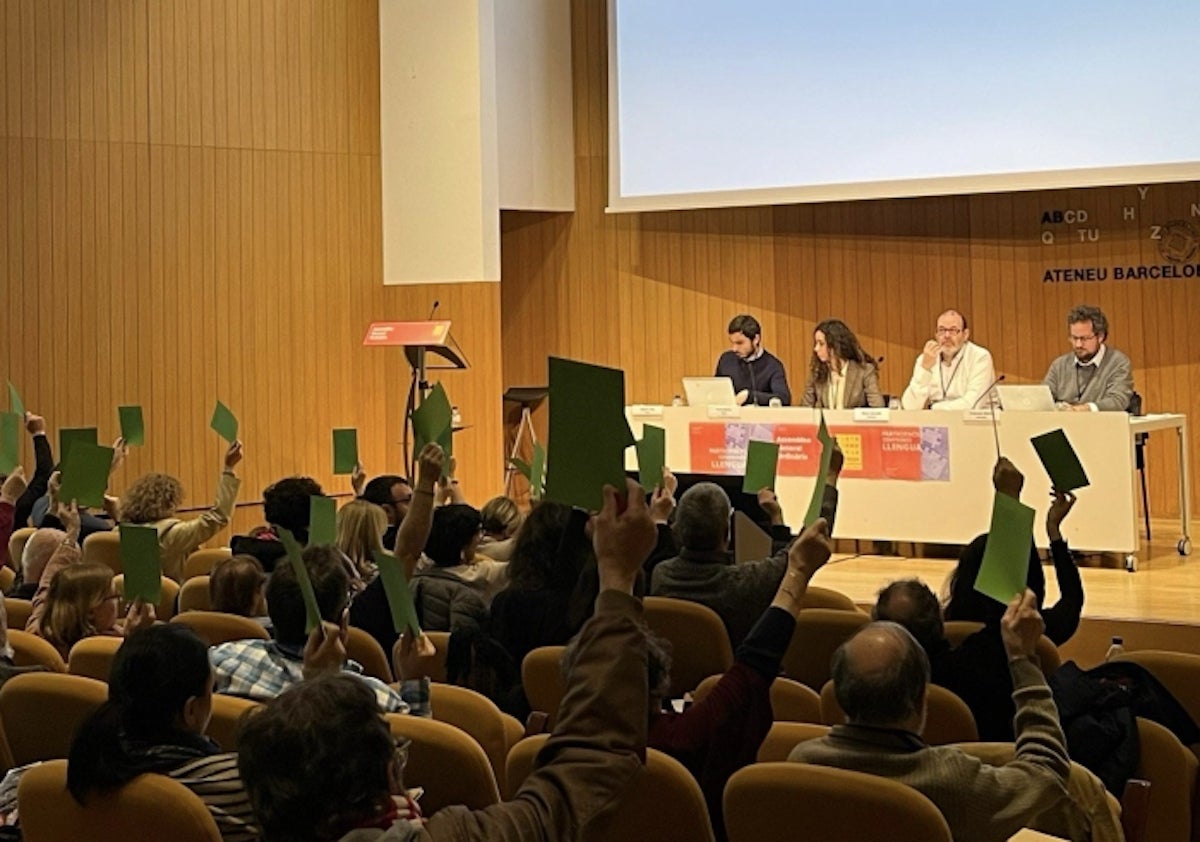 Moment de votació a l'Assemblea General Ordinària de Plataforma per la Llengua / Plataforma per la Llengua