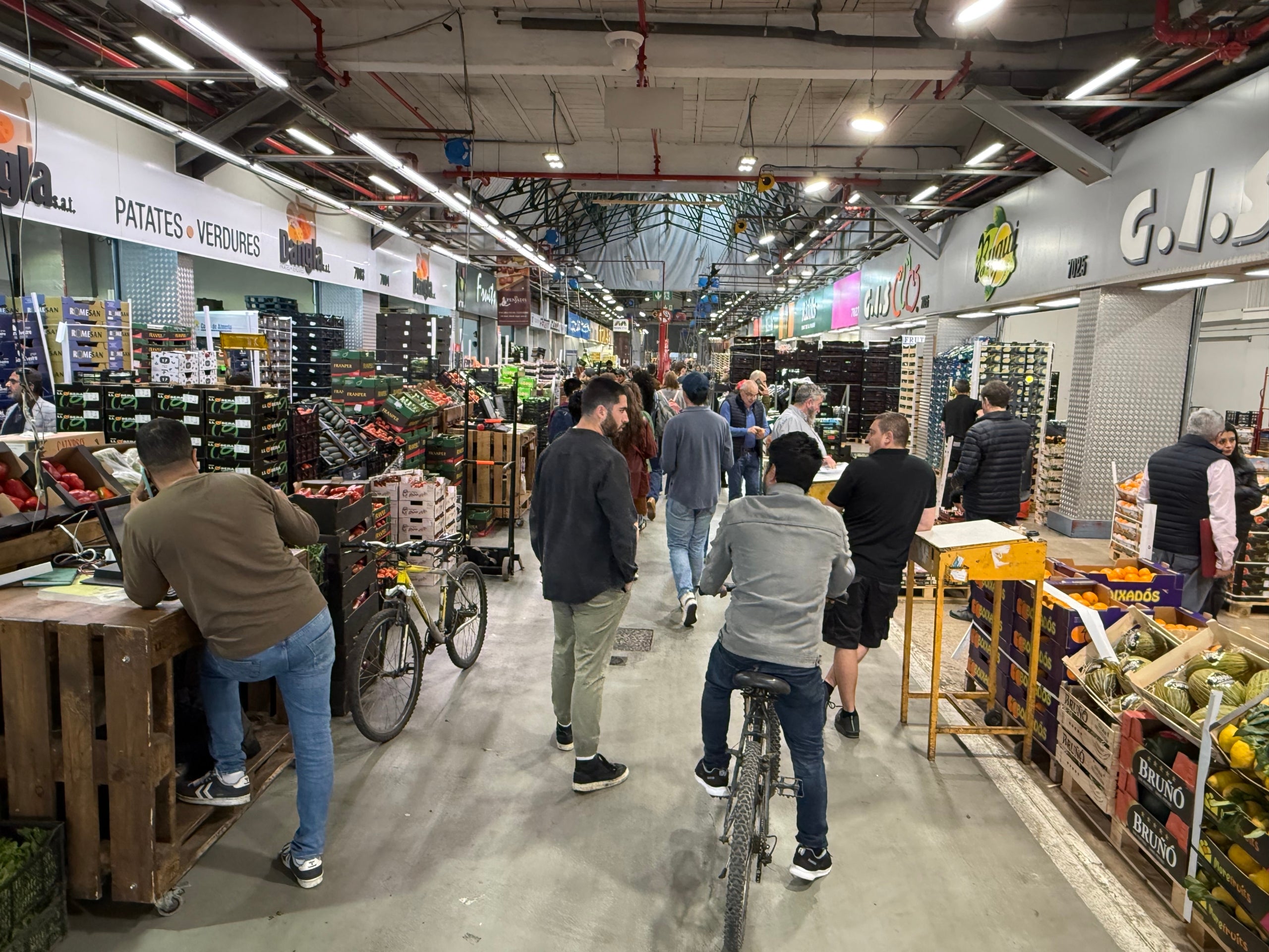 Un dels pavellons del mercat de fruita i verdura de Mercabarna / ACN