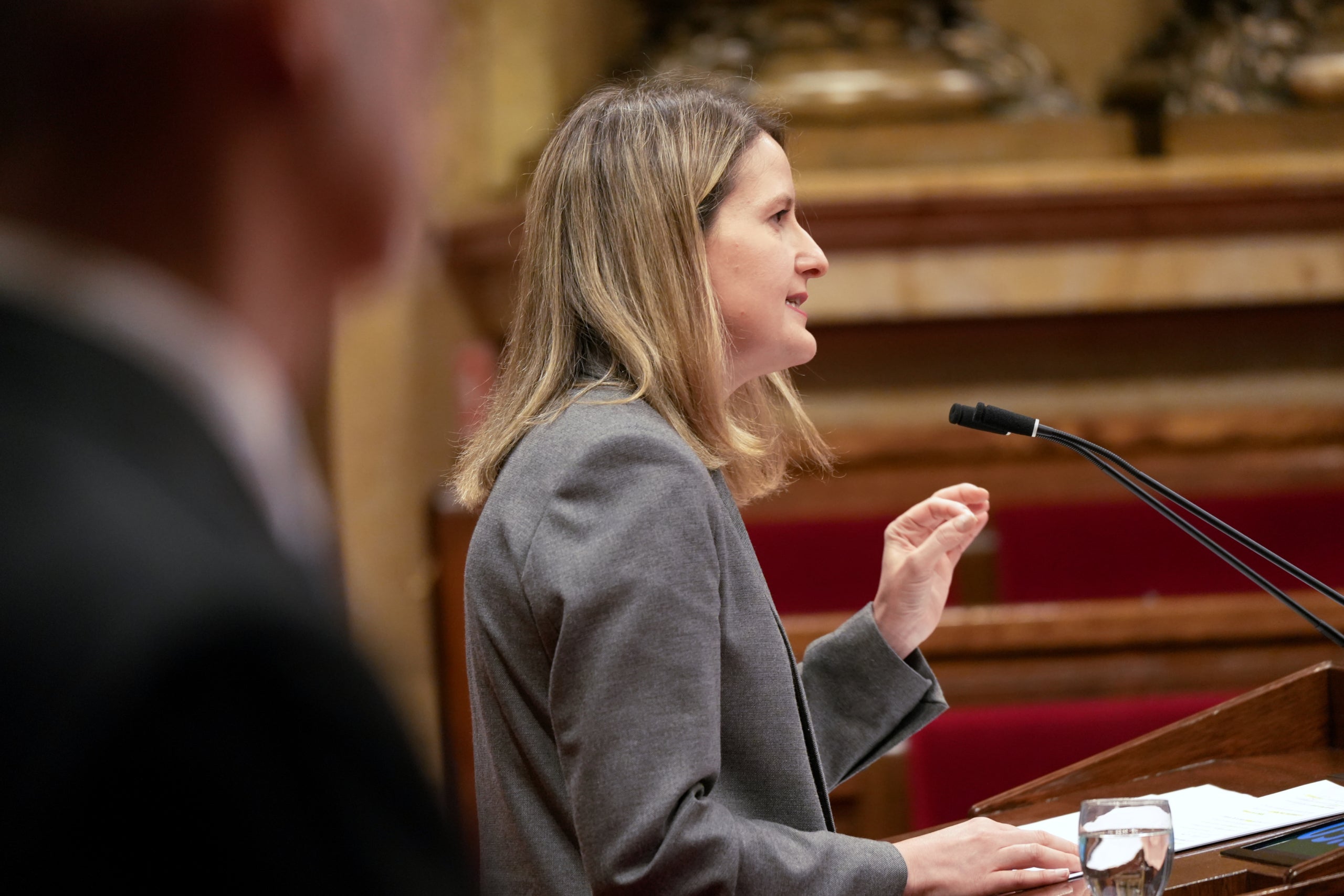 La consellera Martínez Bravo durant la seva intervenció al Parlament/Nico Tomàs/ACN