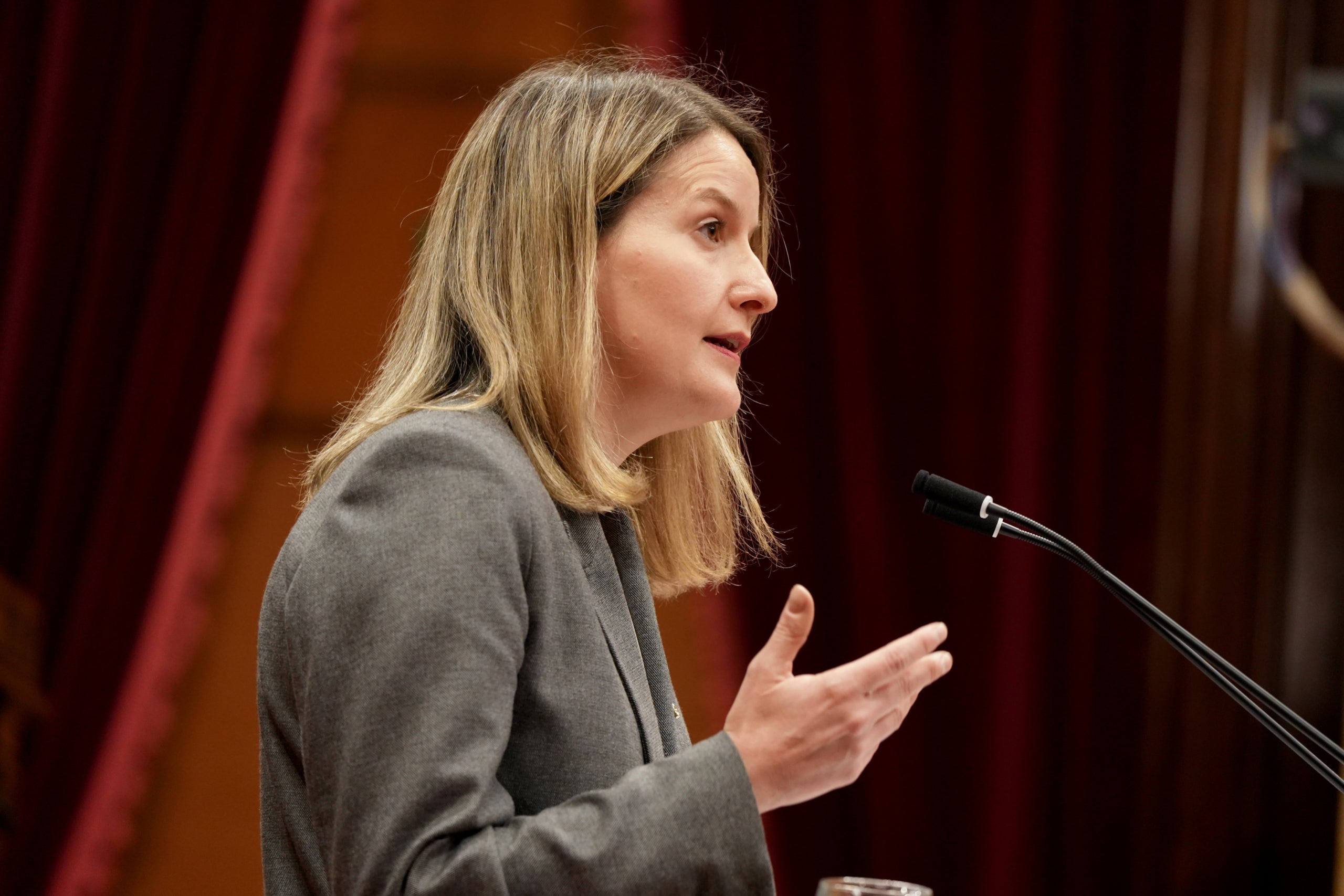 Mònica Martínez Bravo, en la seva intervenció d'aquesta tarda al Parlament/Nico Tomàs
