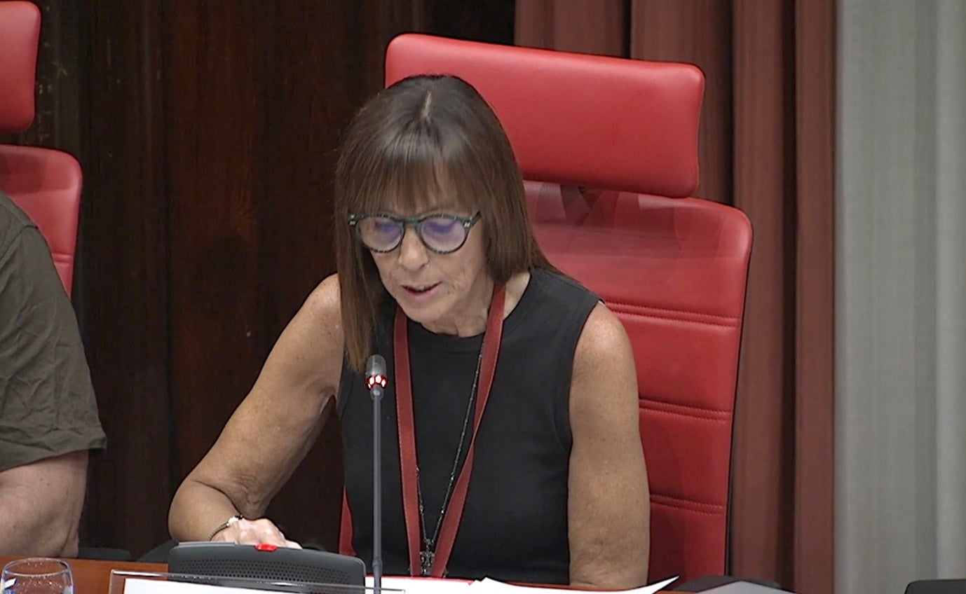 Isabel Carrasco, en un moment de la seva compareixença/Parlament