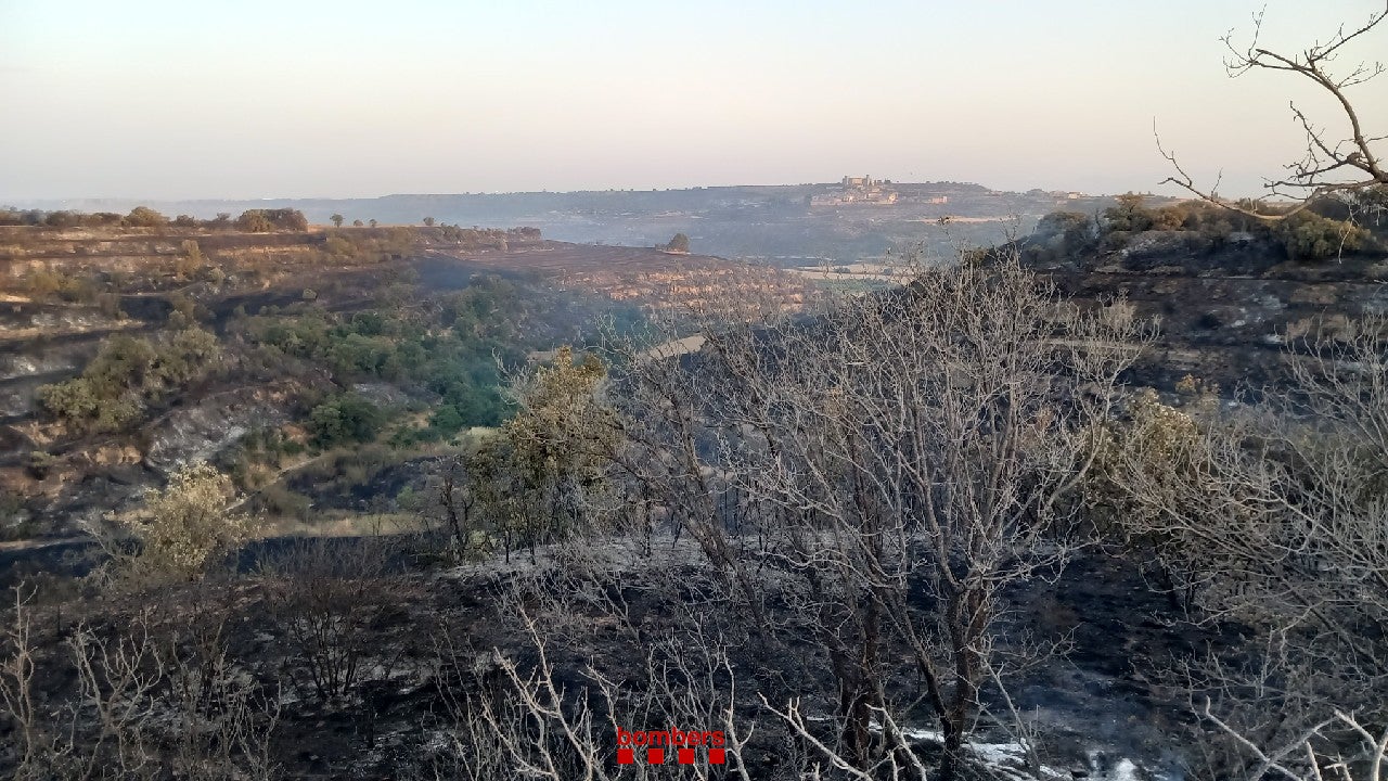 Una zona cremada al foc de la Segarra / Bombers de la Generalitat