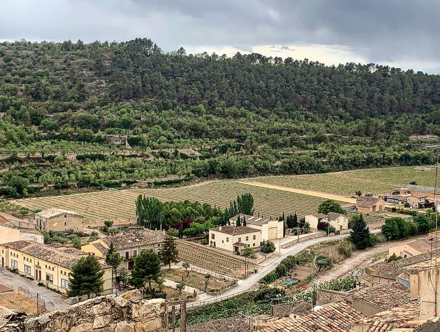Vista aèria d'un tram del poble de Guimerà, a l'Urgell / Sílvia Barroso