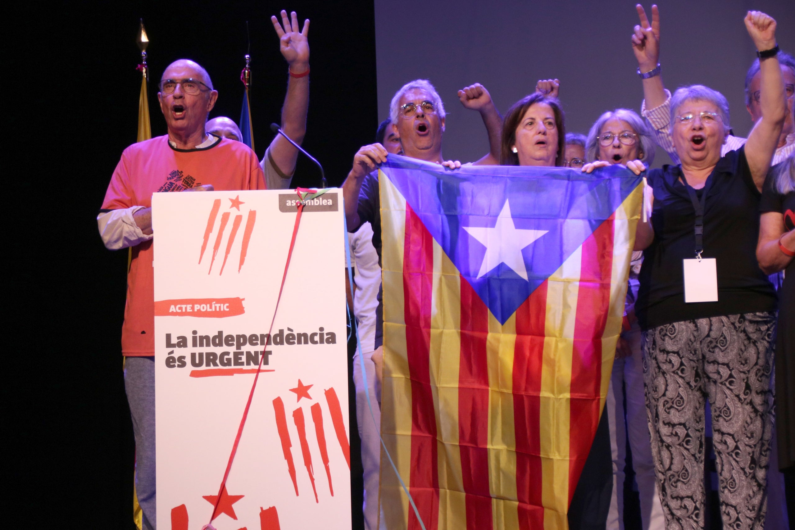 Lluís Llach cantant 'Els Segadors' en la cloenda de l'acte de l'ANC / ACN