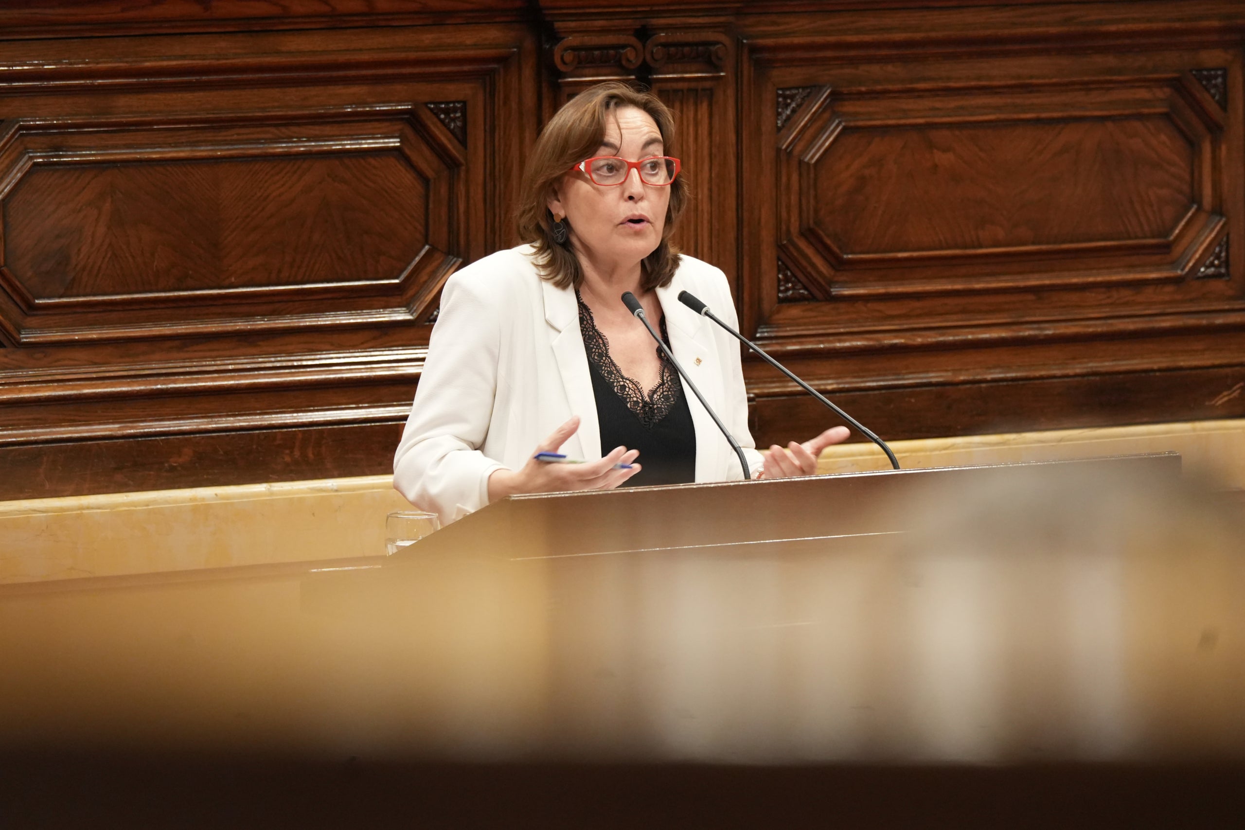 La consellera de Territori, Sílvia Paneque, al debat sobre infraestructures al Parlament / ACN