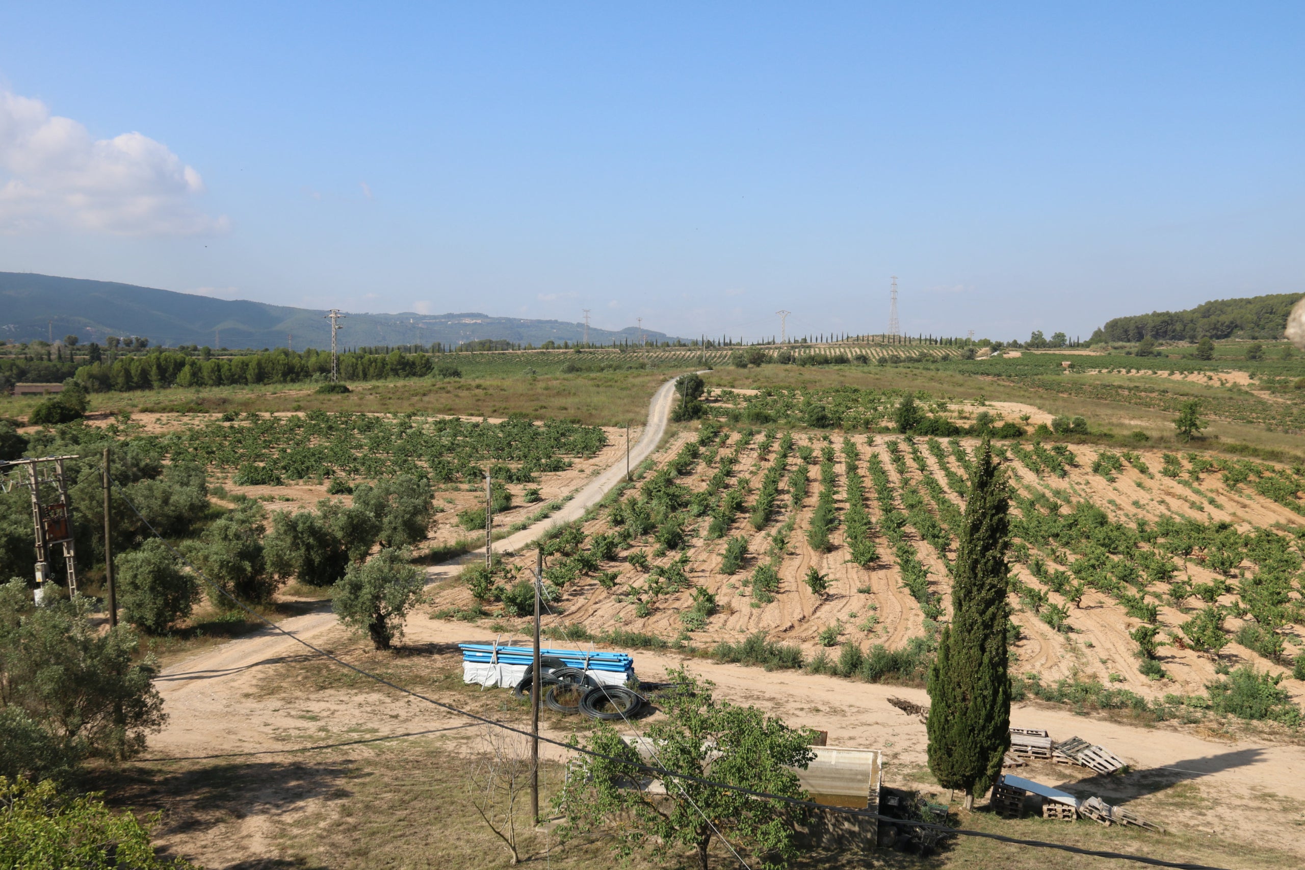 Terrenos de Gelida donde Ametller Origen proyecta el Agroparc Penedès | Gemma Sánchez Bonel (ACN)