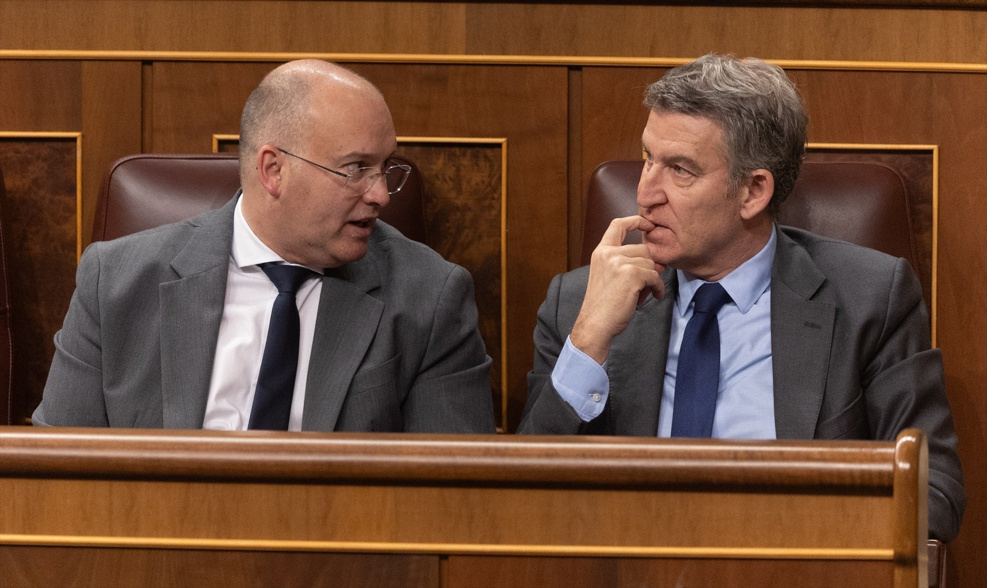 El fins ara portaveu del PP al Congreso, Miguel Tellado, i el líder del partit, Alberto Núñez Feijóo, durant un ple / Europa Press