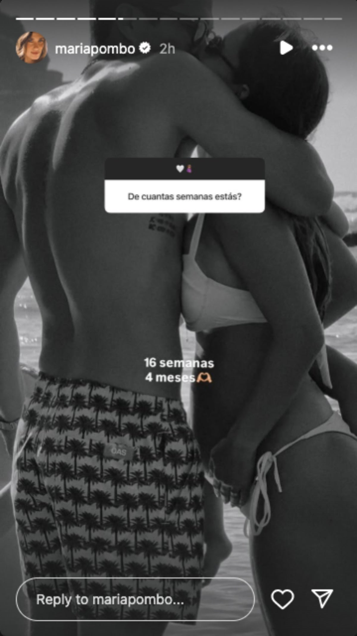 María Pombo dona detalls del seu tercer embaràs | Instagram