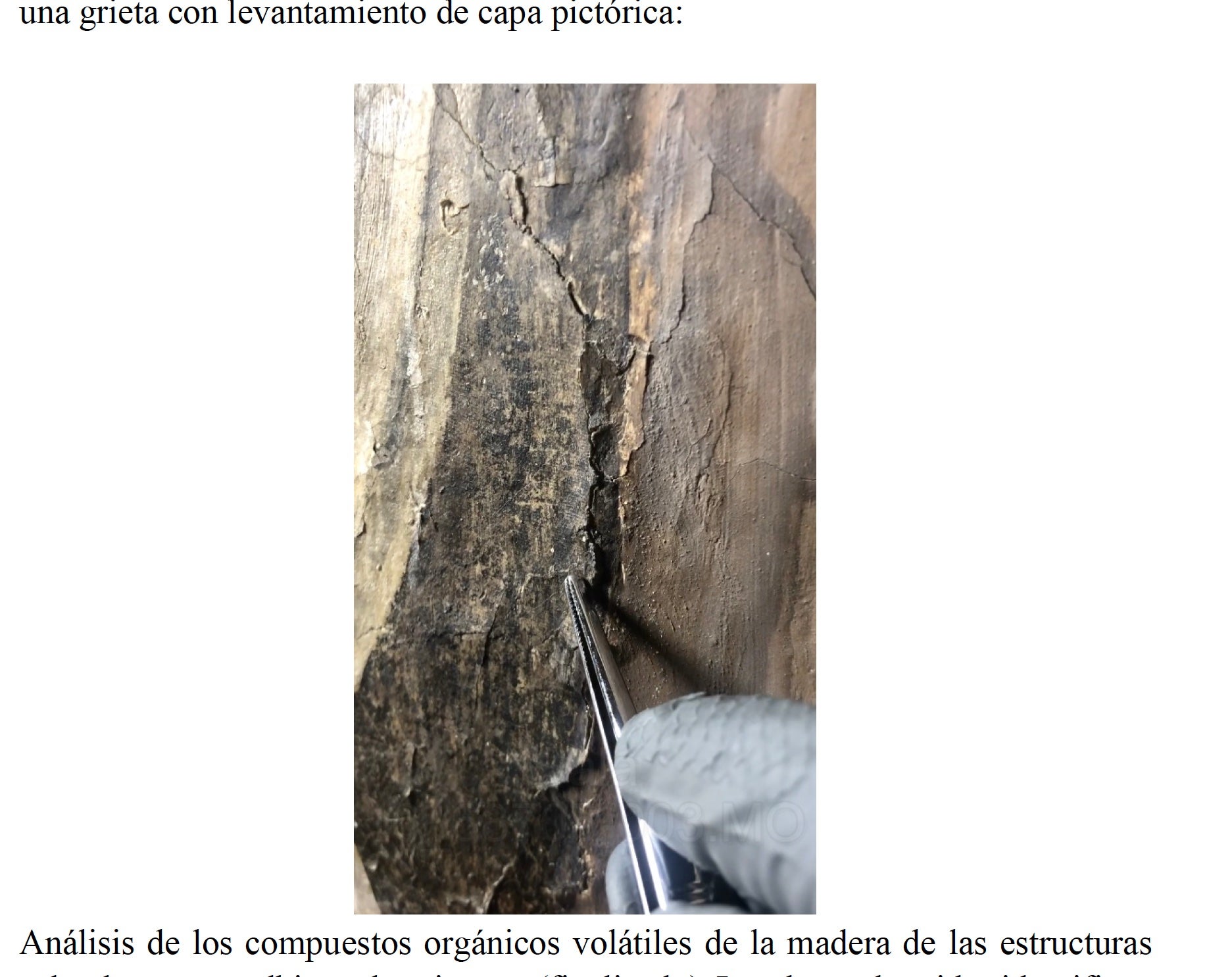 Muestra extraída de las pinturas murales para aportar a la jueza el resultado/QS