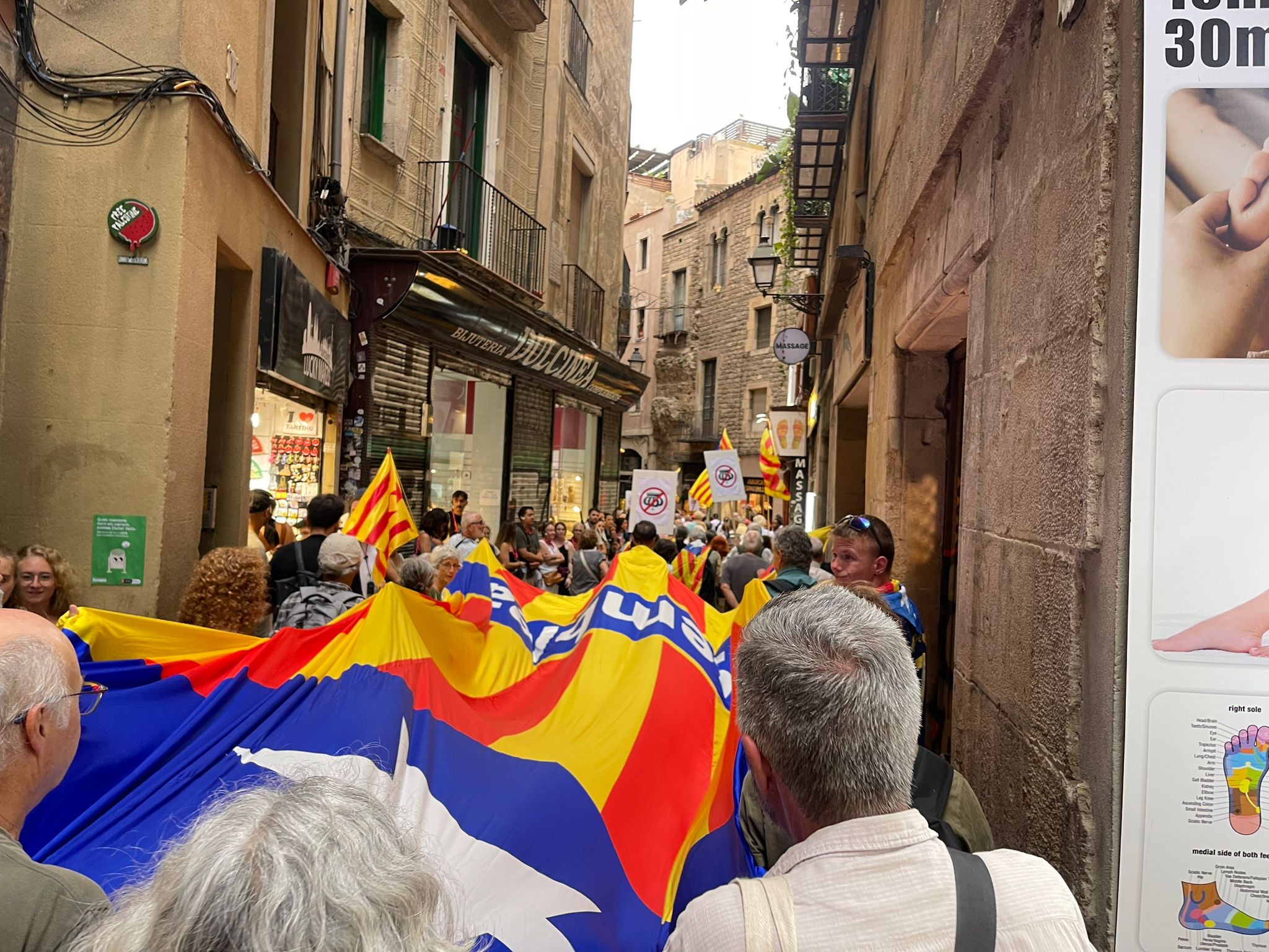 Manifestants de l'ANC contra la monarquia / QS