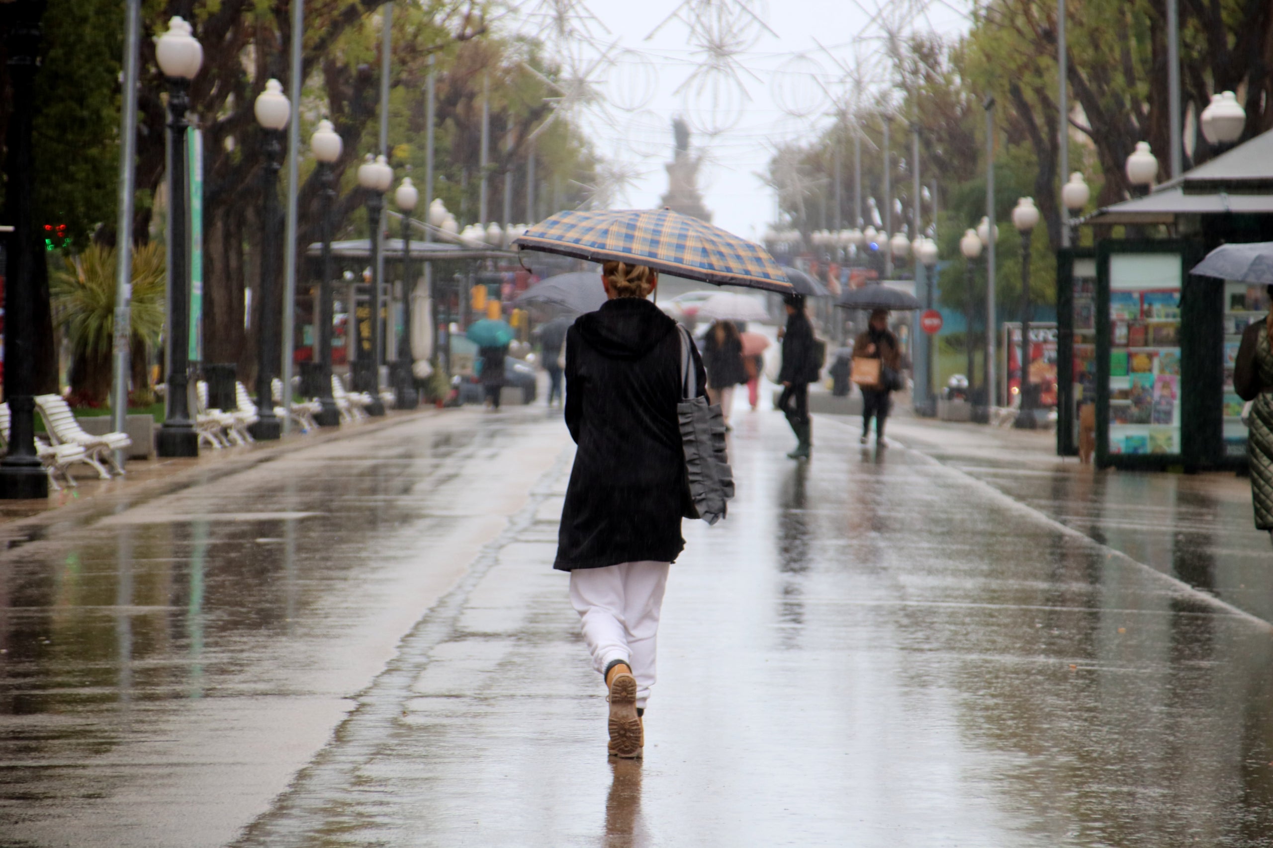 Una dona d'esquenes amb un paraigua caminant per la Rambla de Tarragona | Mar Rovira (ACN)