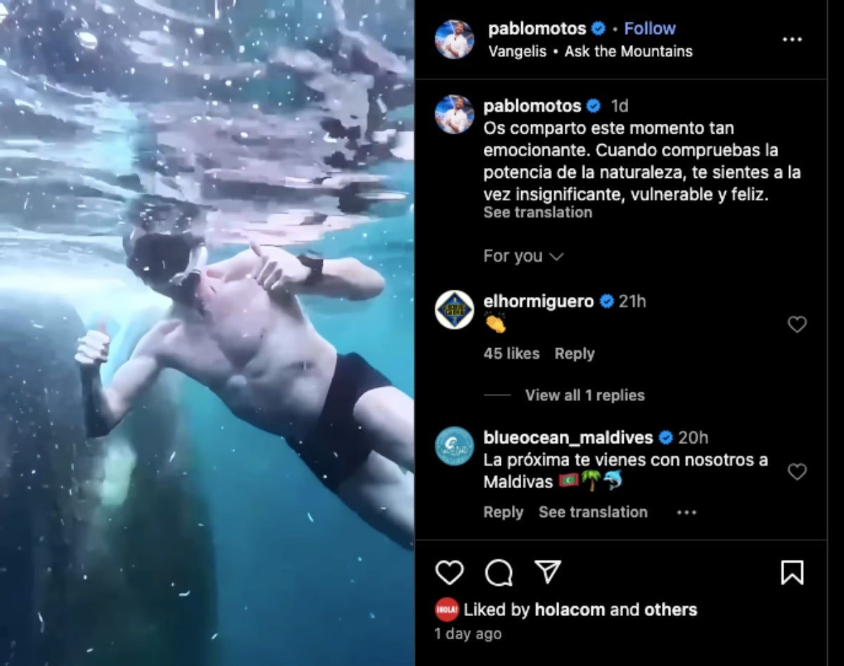  Pablo Motos nedant entre taurons | Instagram