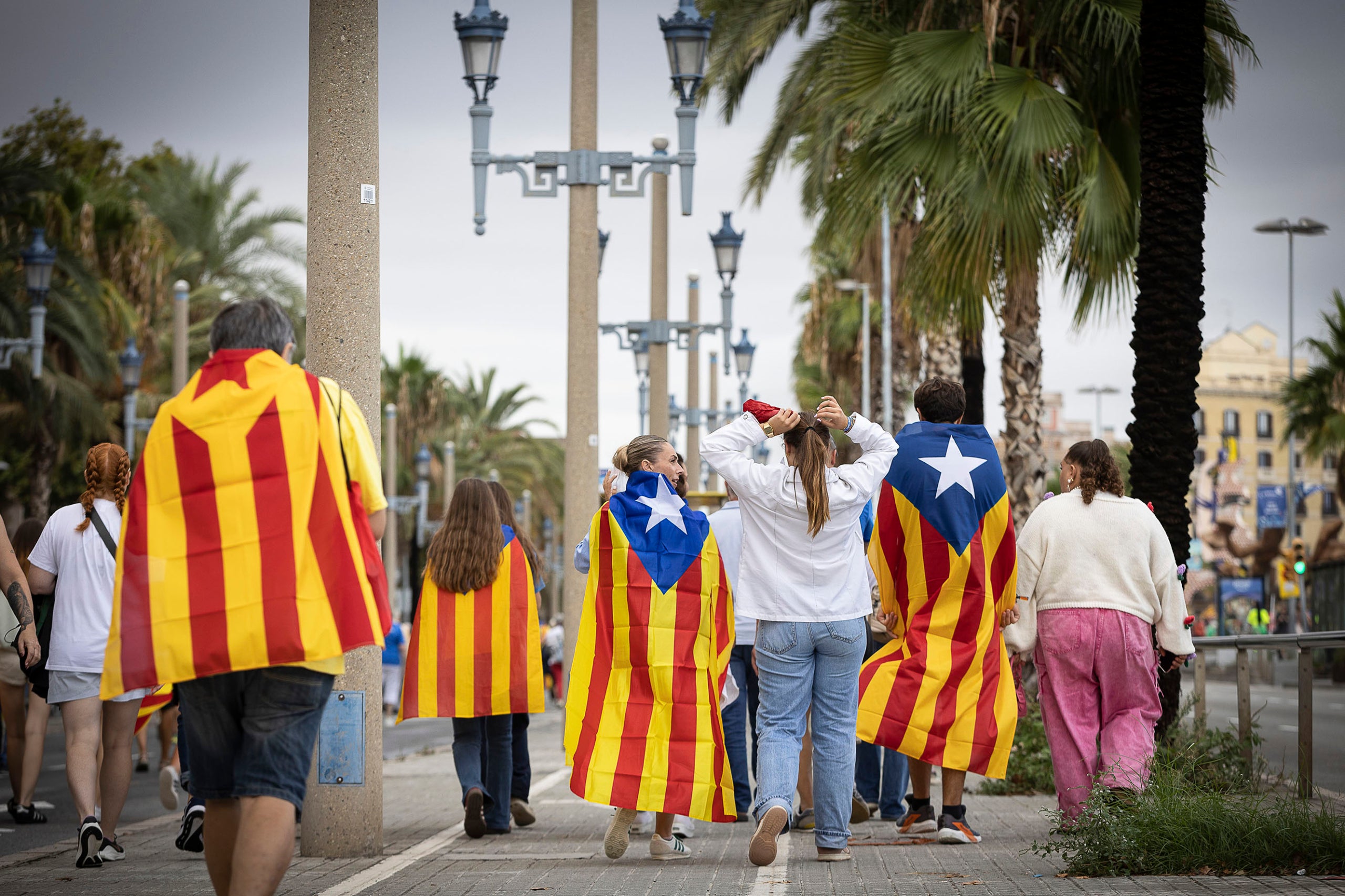Manifestació per la Diada Nacional de Catalunya al passeig Colom de Barcelona. | Jordi Play